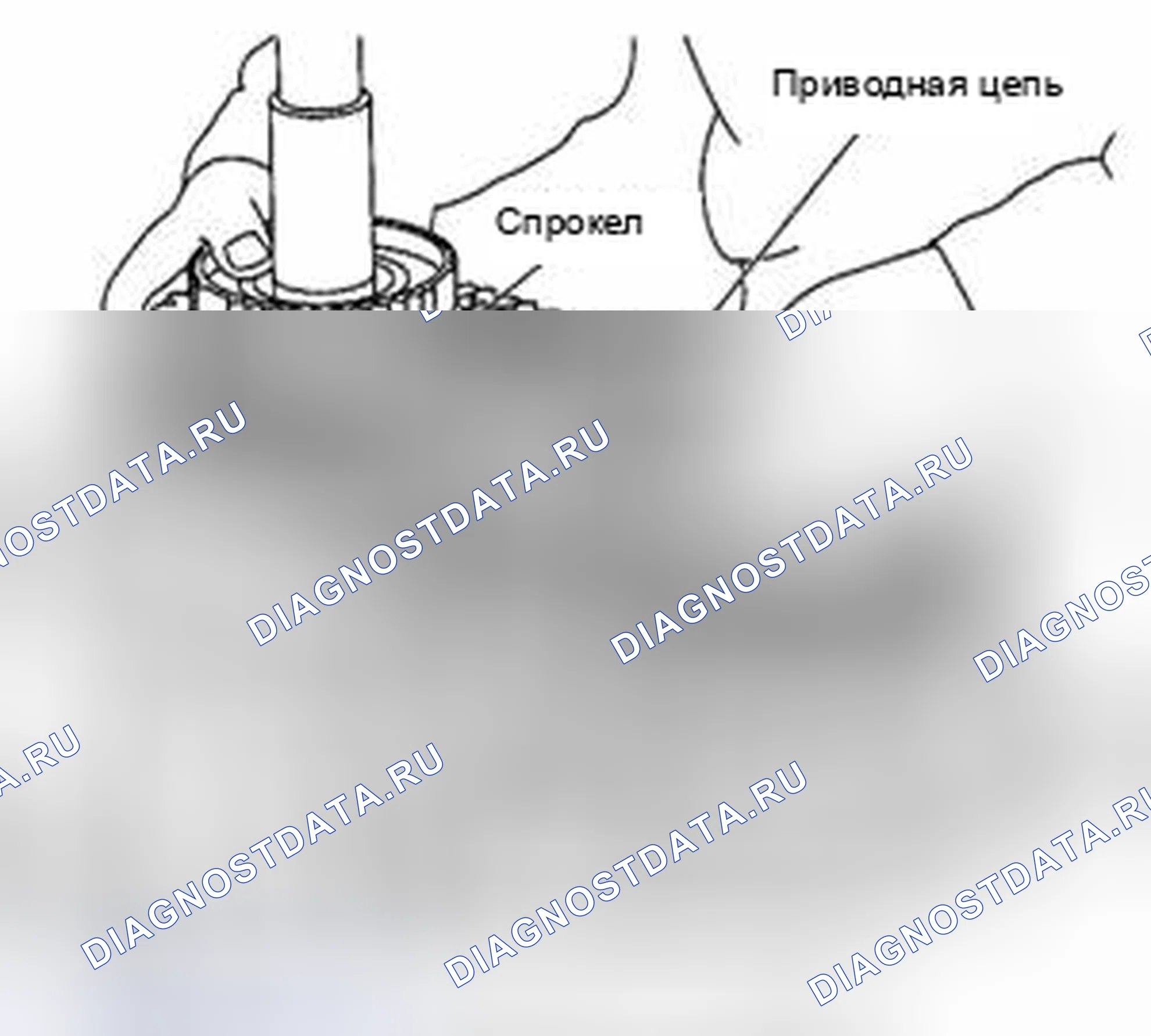 Рис. 155. Suzuki Equator I