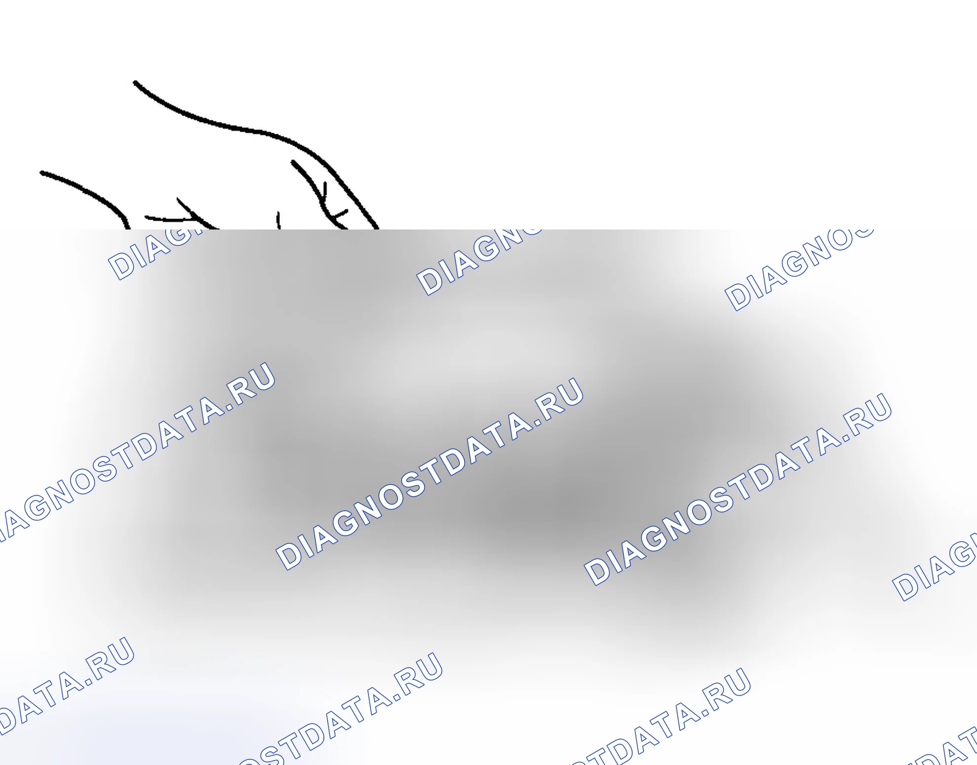 Рис. 199. Haval Chitu I