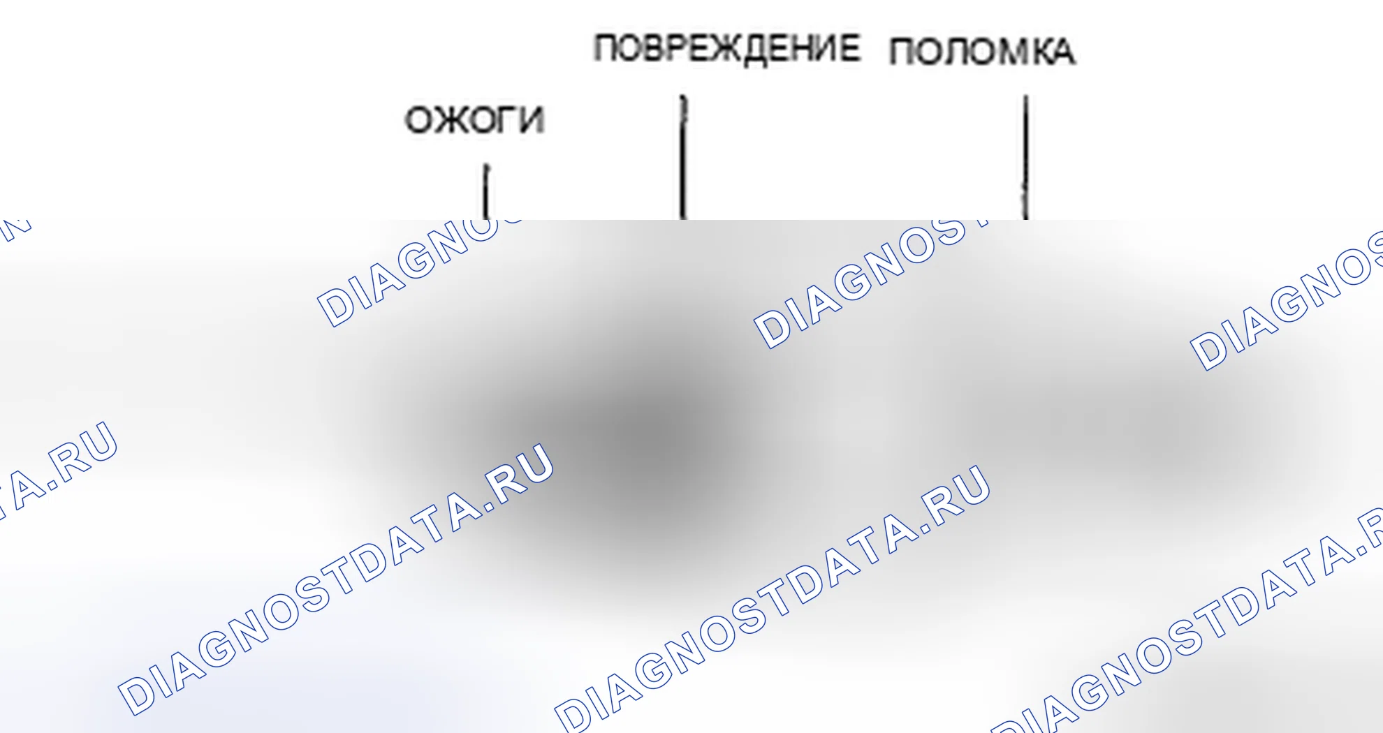 Рис. 9: Визуальный осмотр. Mazda 6 GH рестайлинг