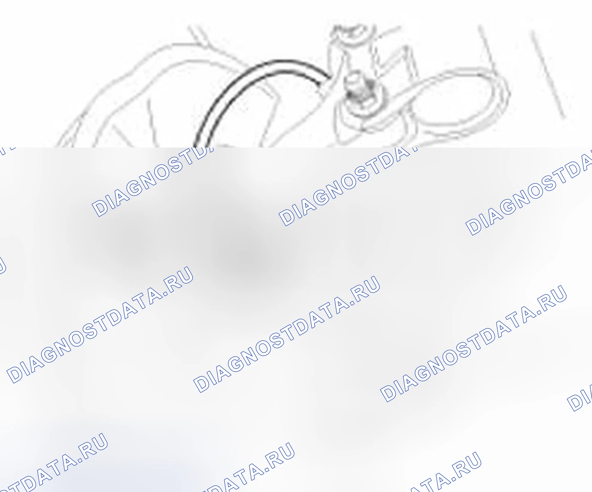 Рис. 5. Hyundai Veloster I