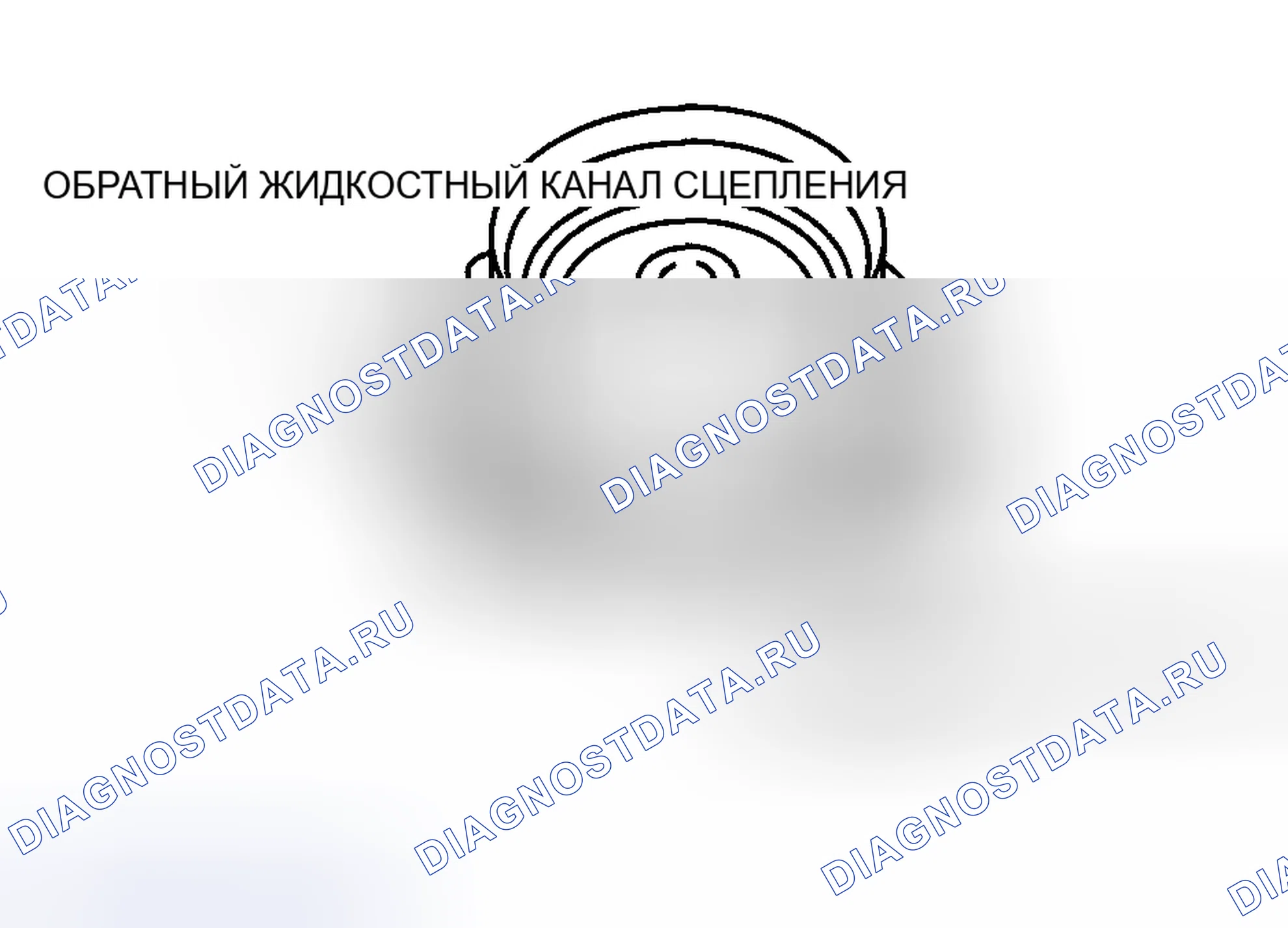 Рис. 23. Audi R8 I