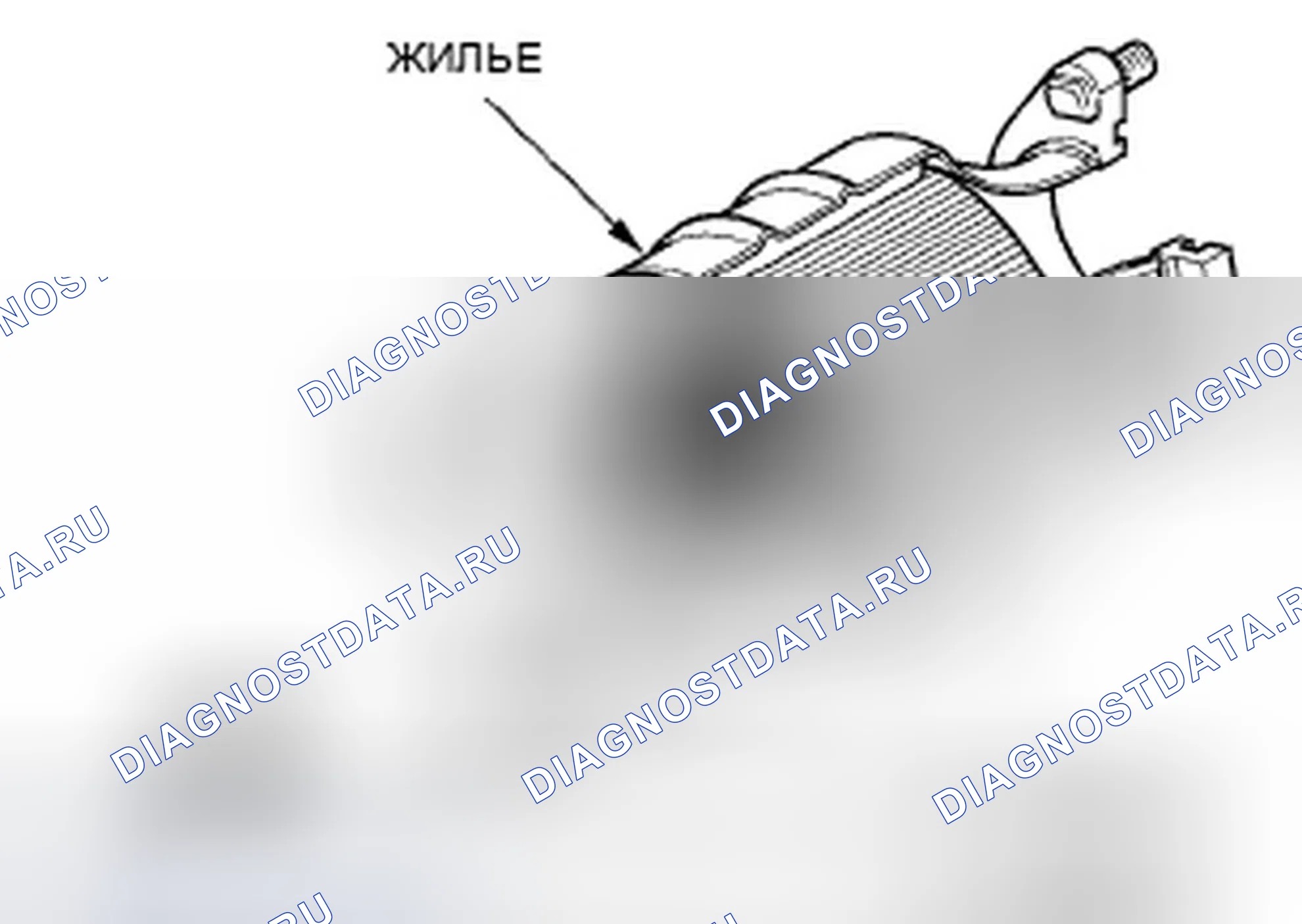 Рис. 880. Honda Accord VII рестайлинг
