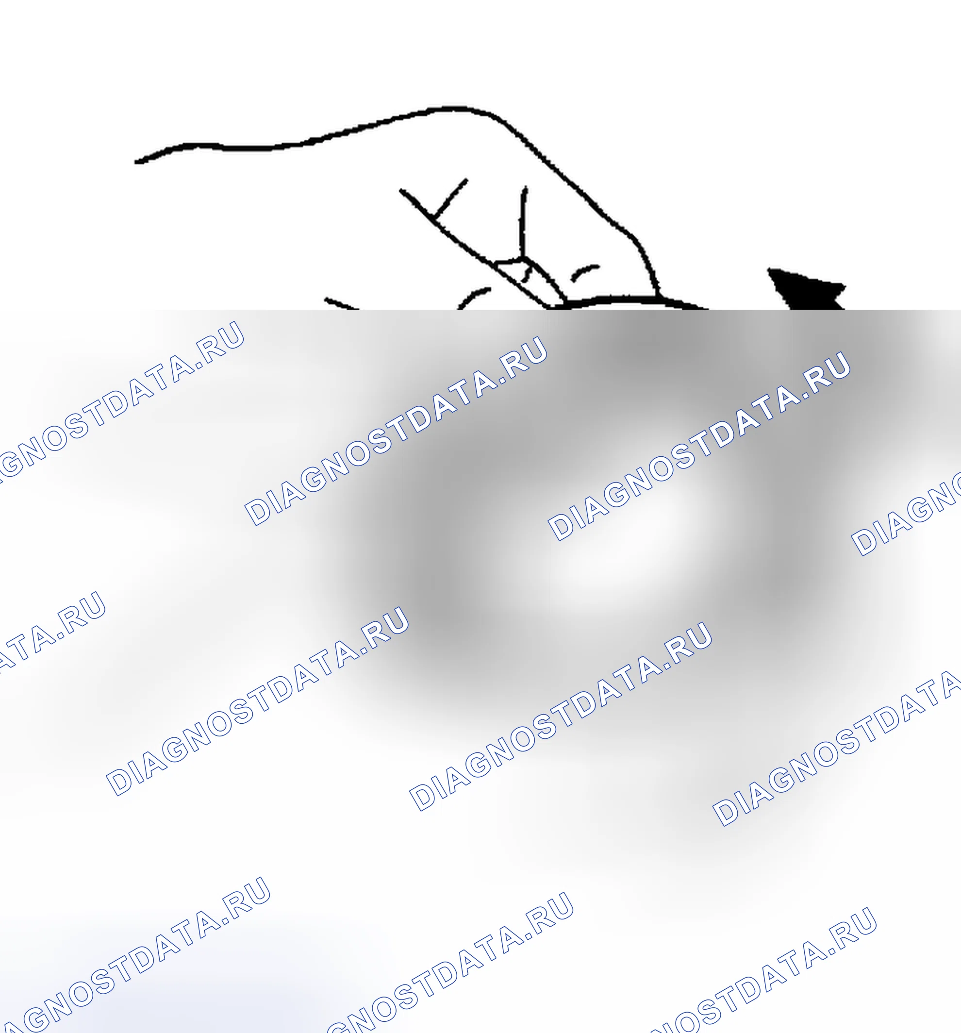 Рис. 164: ПОДШИПНИКИ. Honda Odyssey (North America) I