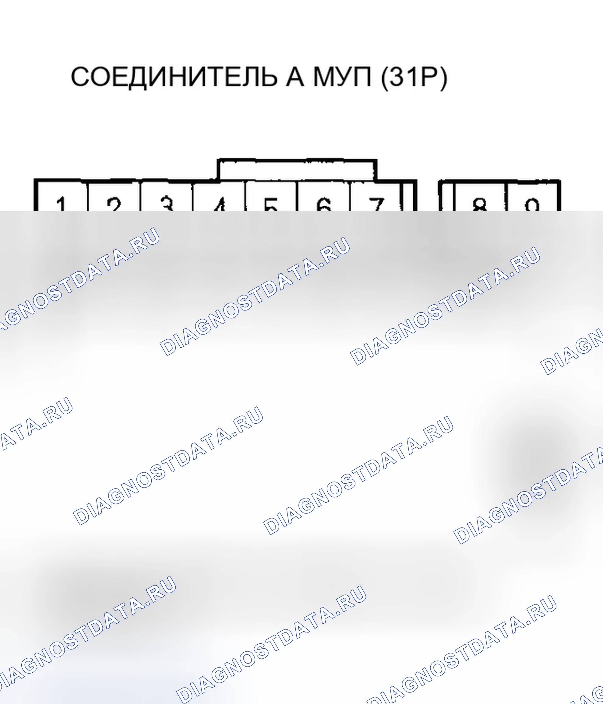 Рис. 494. Honda Accord VII рестайлинг
