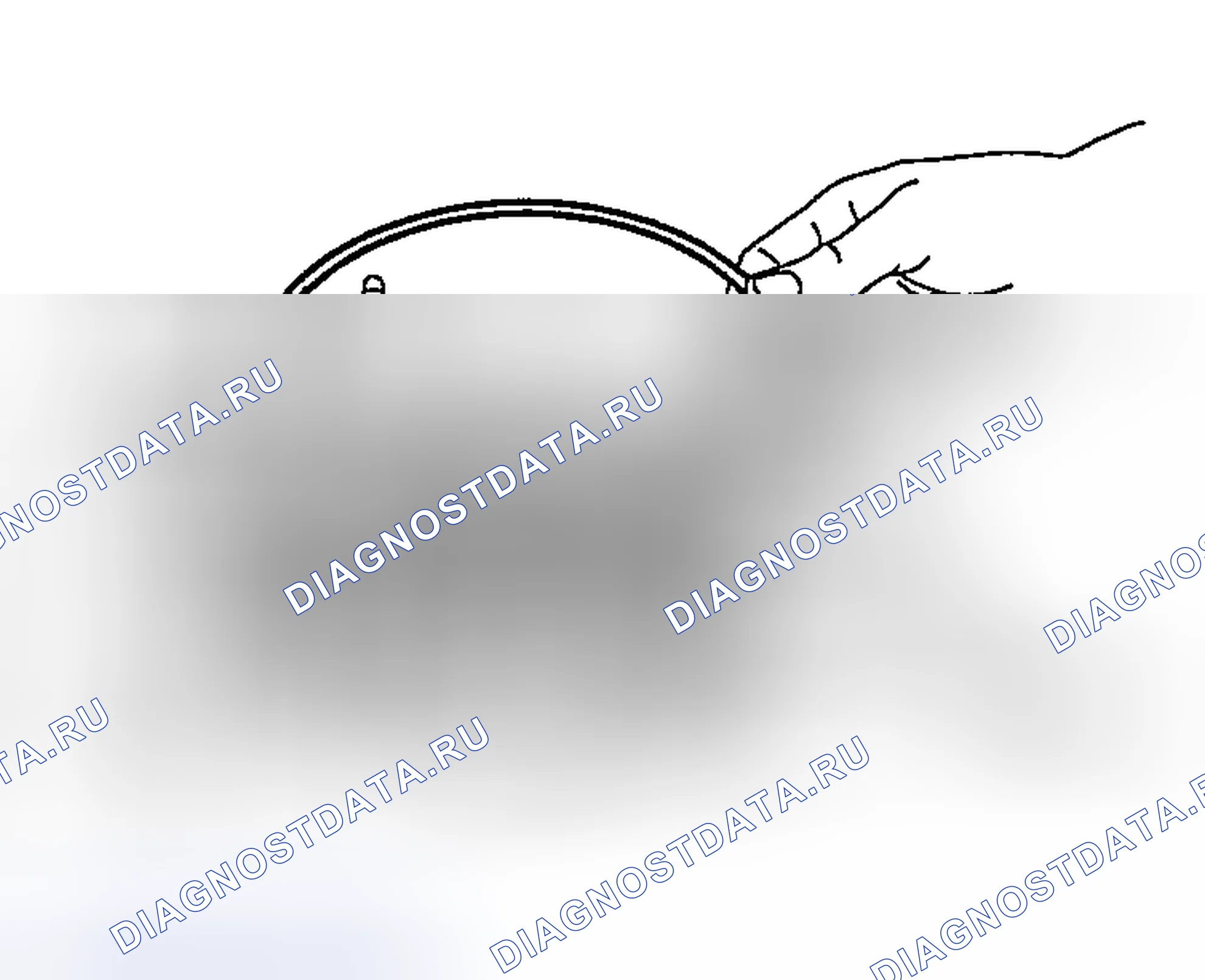 Рис. 2211. Honda Edix I