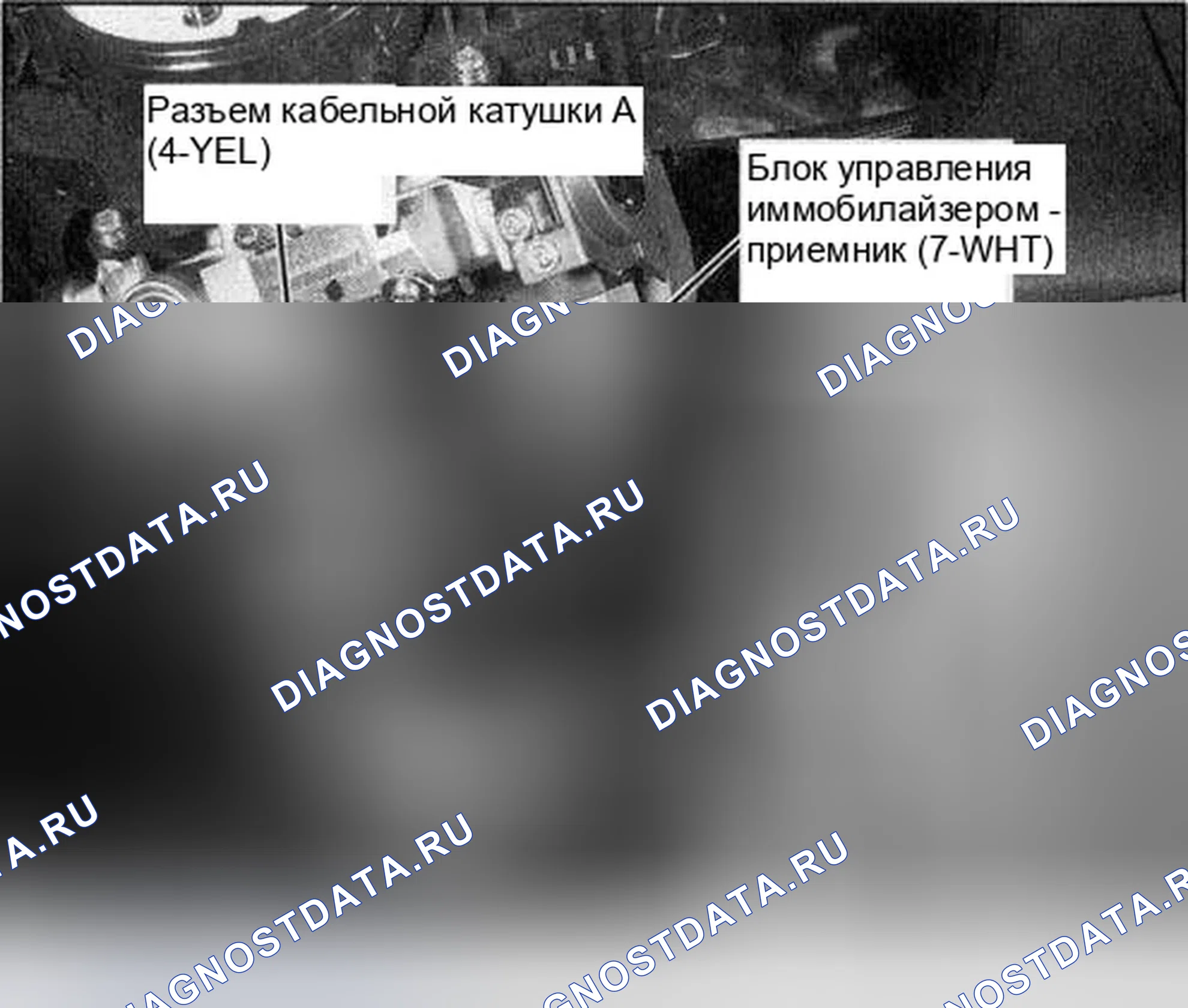 Рис. 178. Honda Accord VII рестайлинг