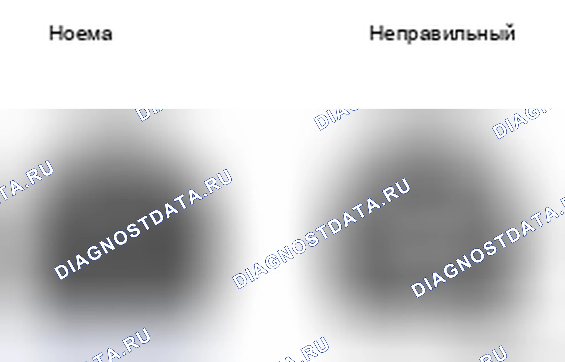 Рис. 4. Toyota 4Runner IV рестайлинг