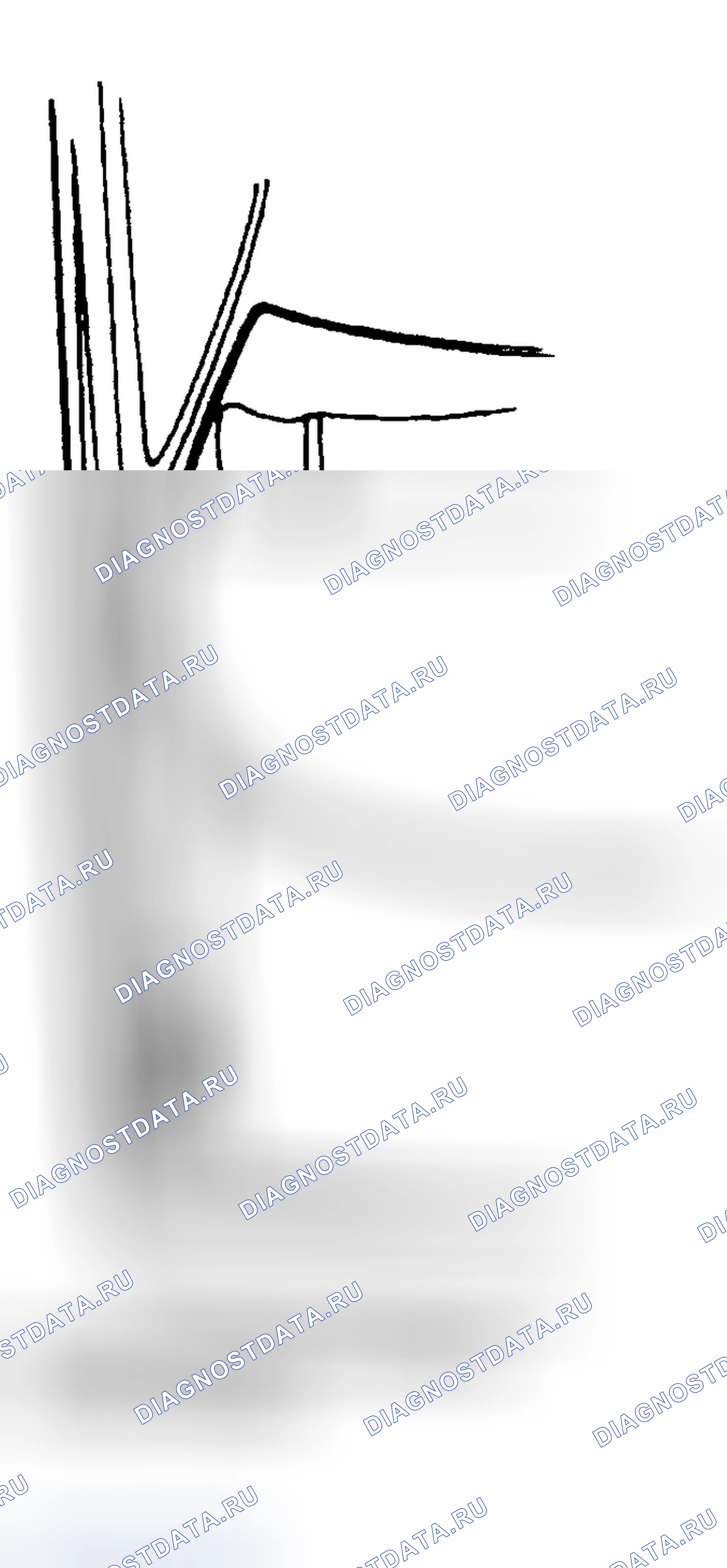 Рис. 4. Honda Accord V