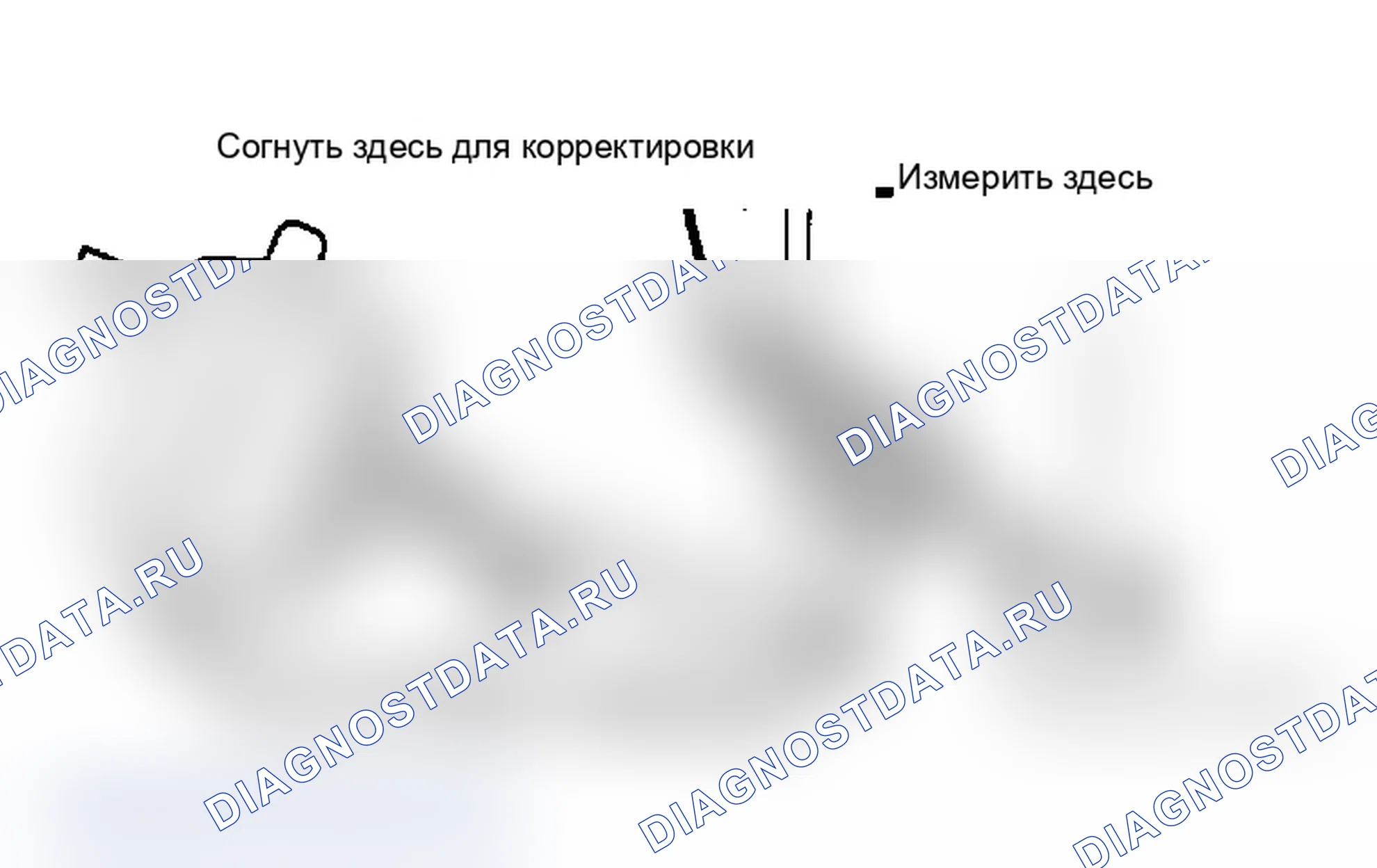 Дефекты и повреждение лакокрасочного покрытия: описание и работа. Ford B-MAX I