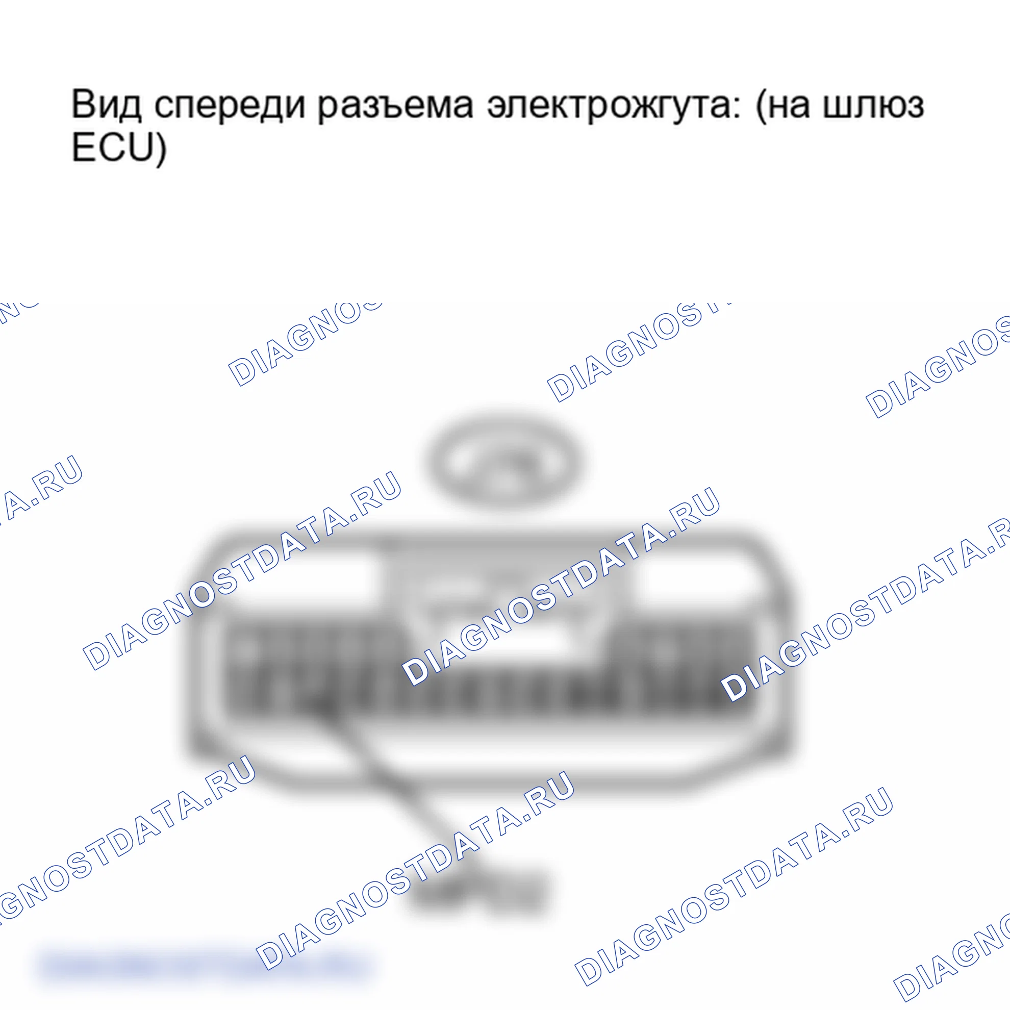 Рис. 138. Lexus IS F I