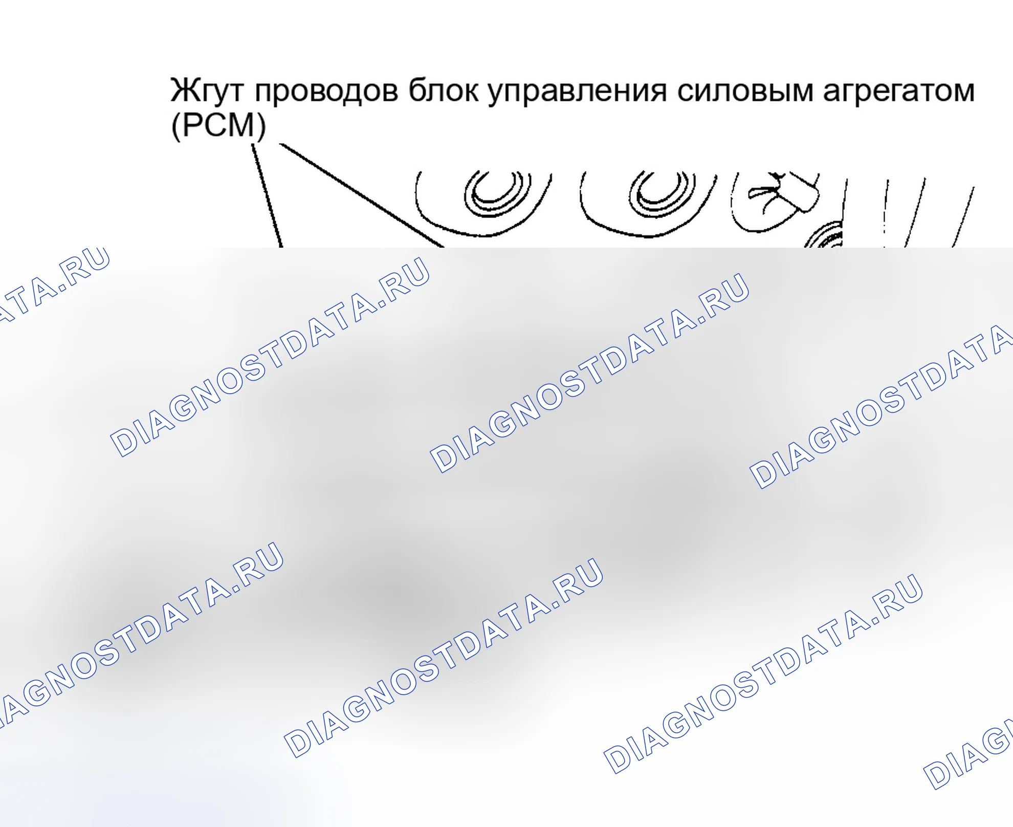 Рис. 73. Ford Focus I рестайлинг