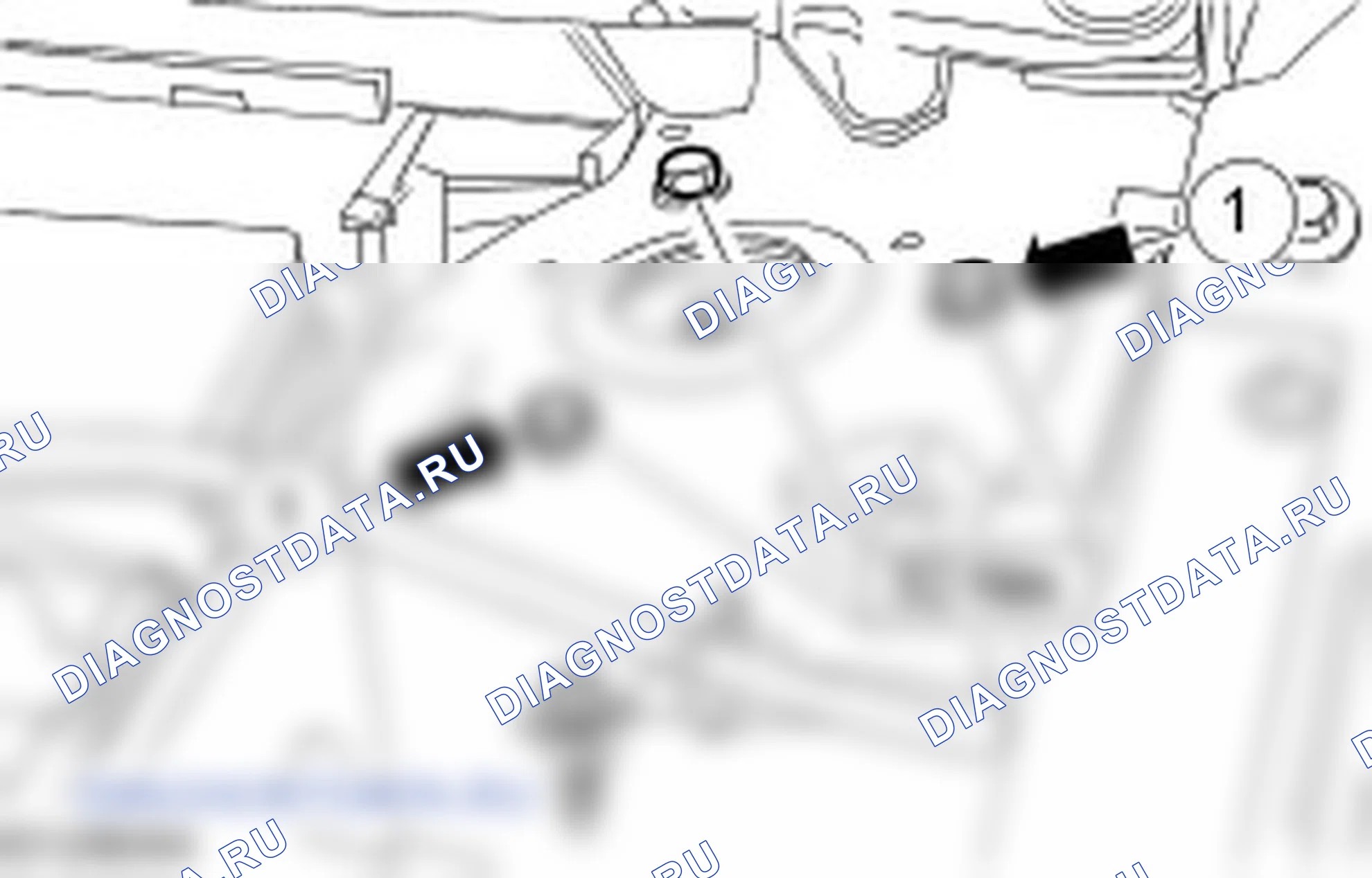Распорка и пружина в сборе: описание и работа. Ford C-MAX I рестайлинг