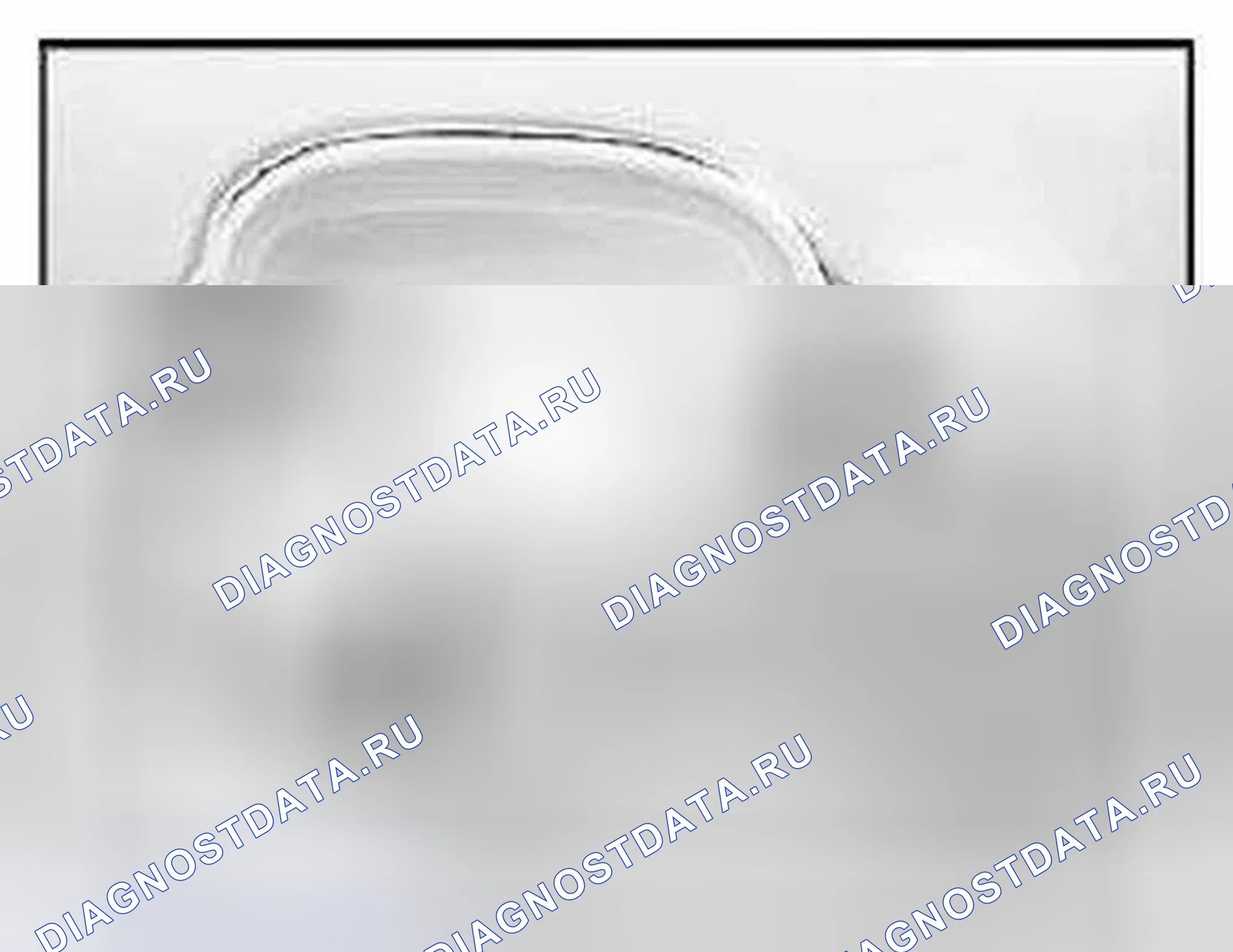 Рис. 202. BMW M6 E63/E64