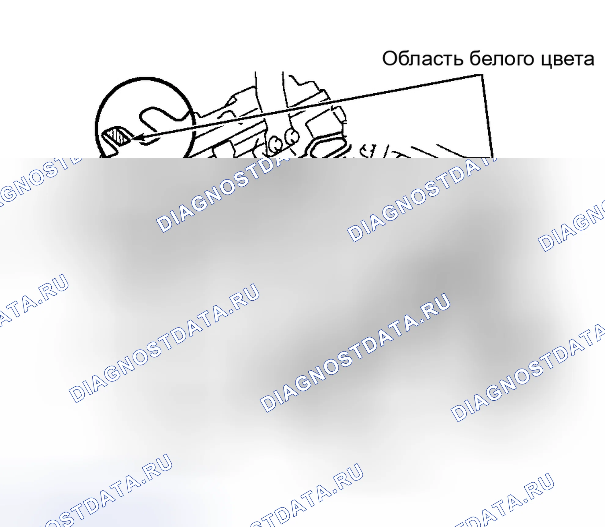 Рис. 6. Honda Accord XI