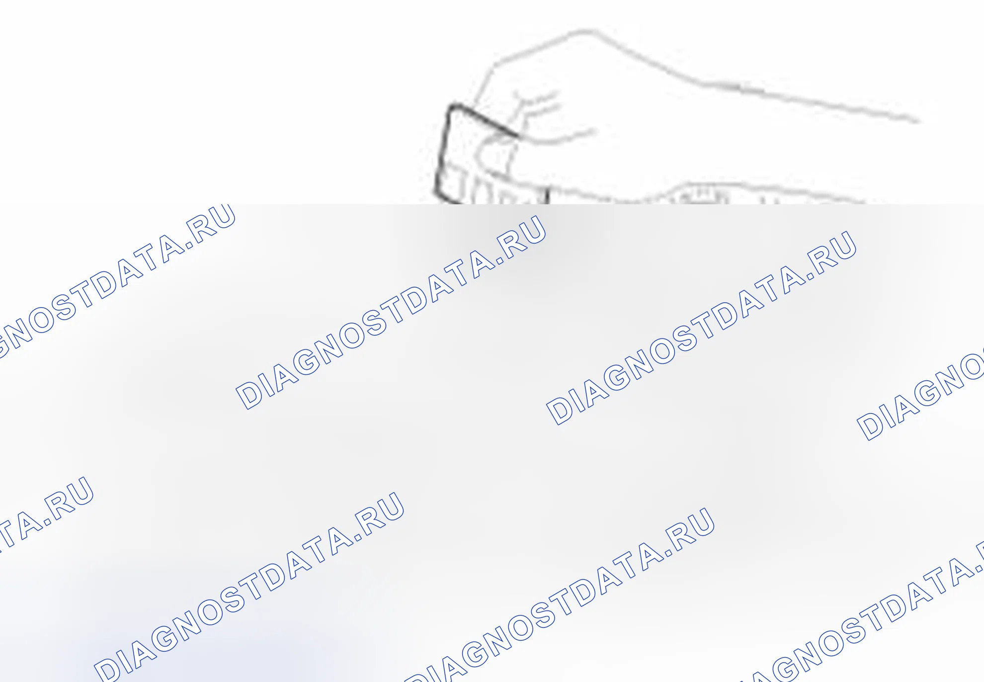 Рис. 288. Haval Beast (Shenshou) I
