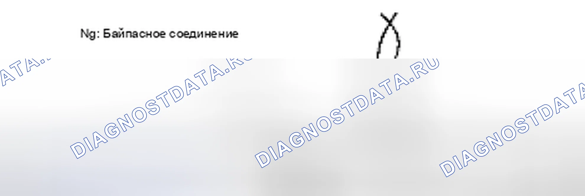 Рис. 9. Suzuki Equator I