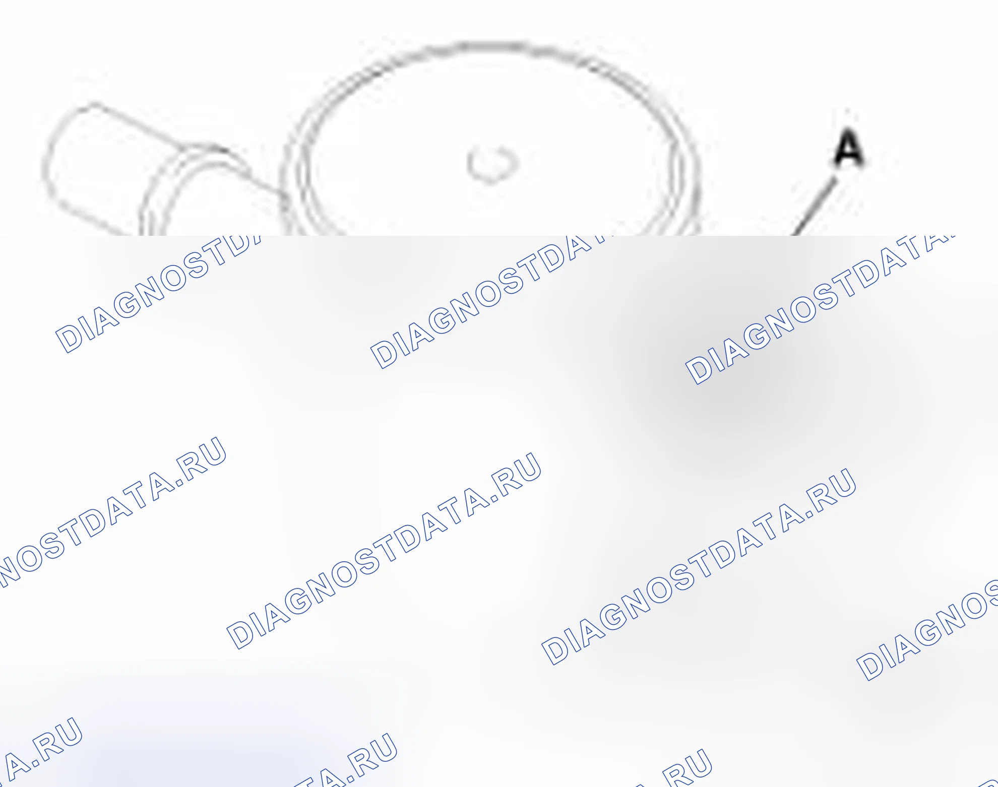 Рис. 14. BMW 6 серия F06/F13/F12