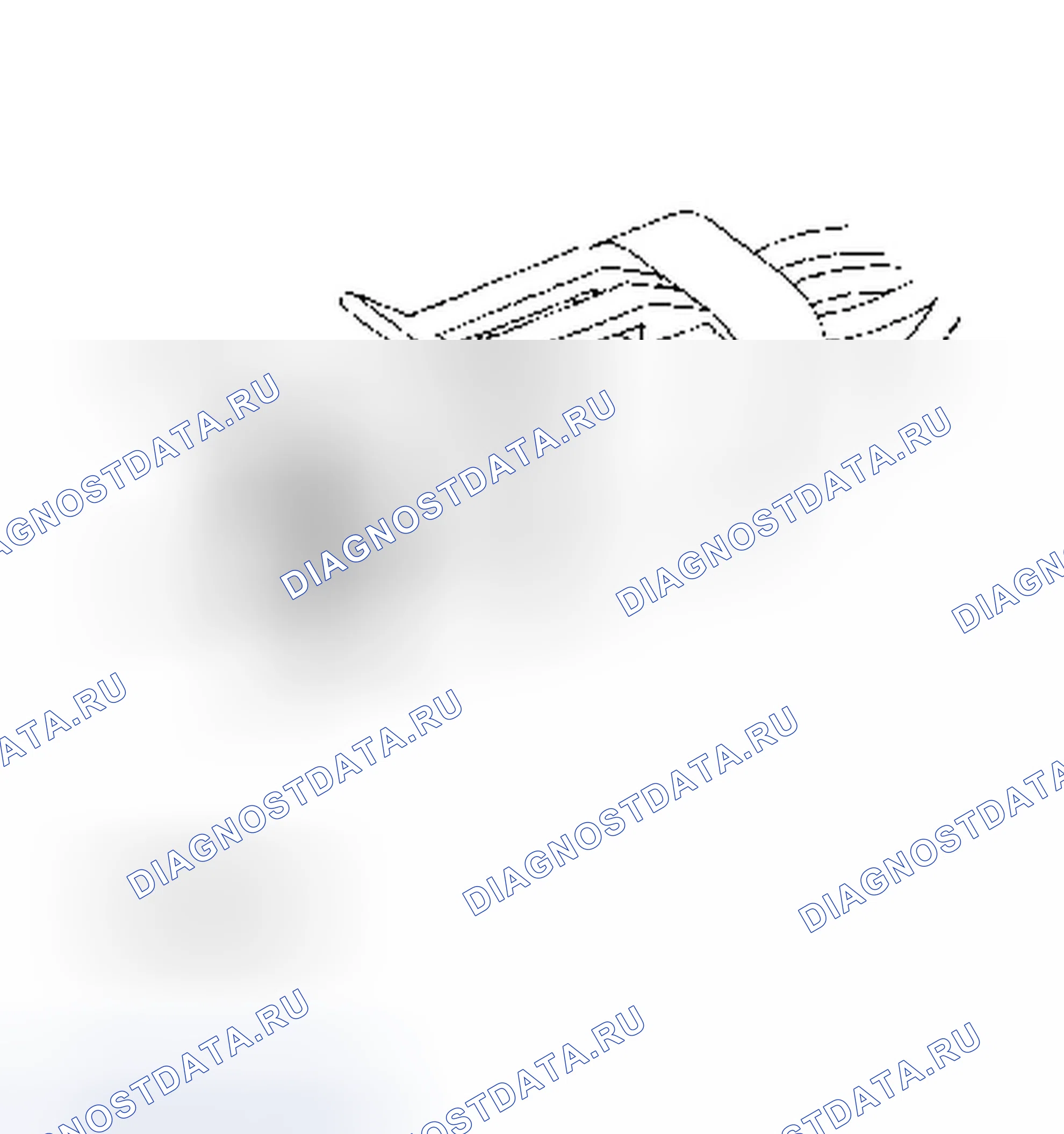 Рис. 15. Dodge Dakota WS 