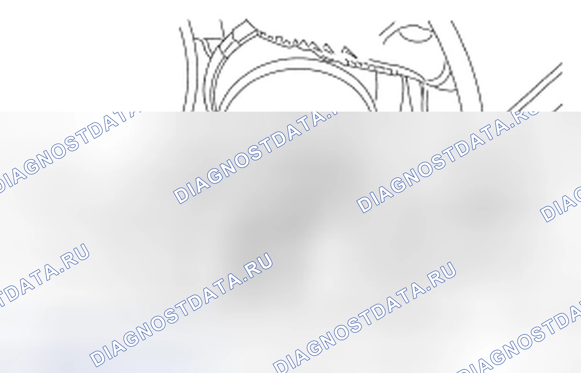 Рис. 223. Ford Freestyle I