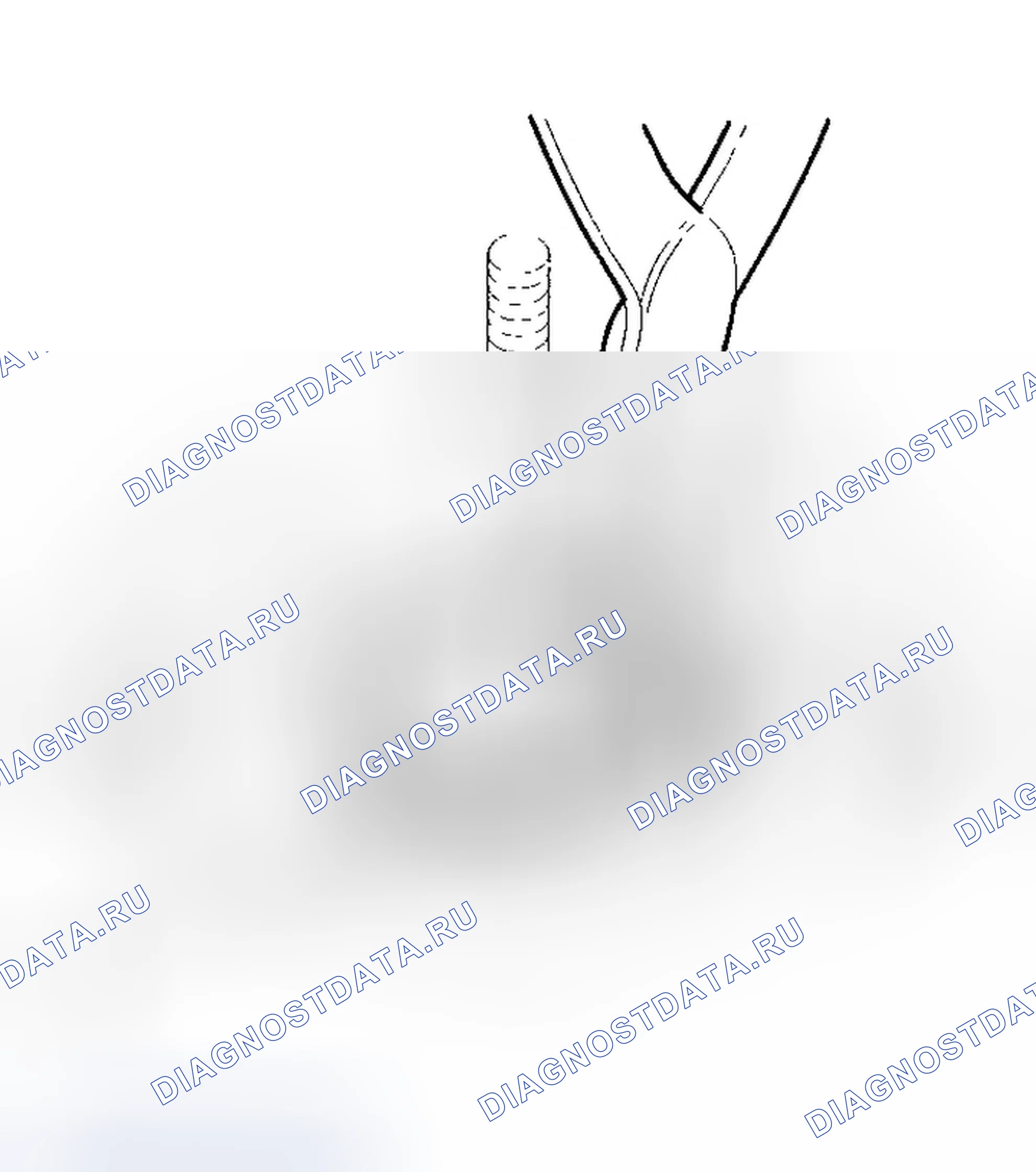 Рис. 266. Honda Odyssey III