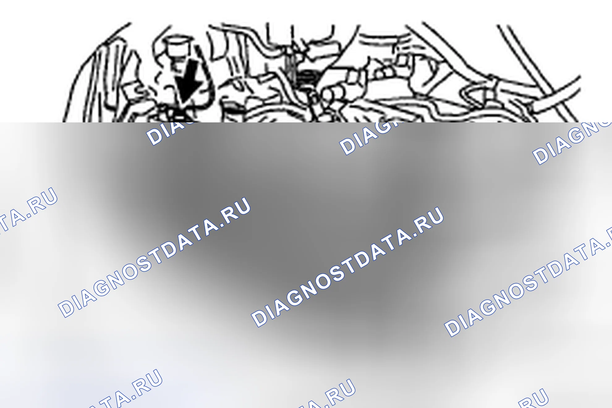 Рис. 41. Honda Accord IX