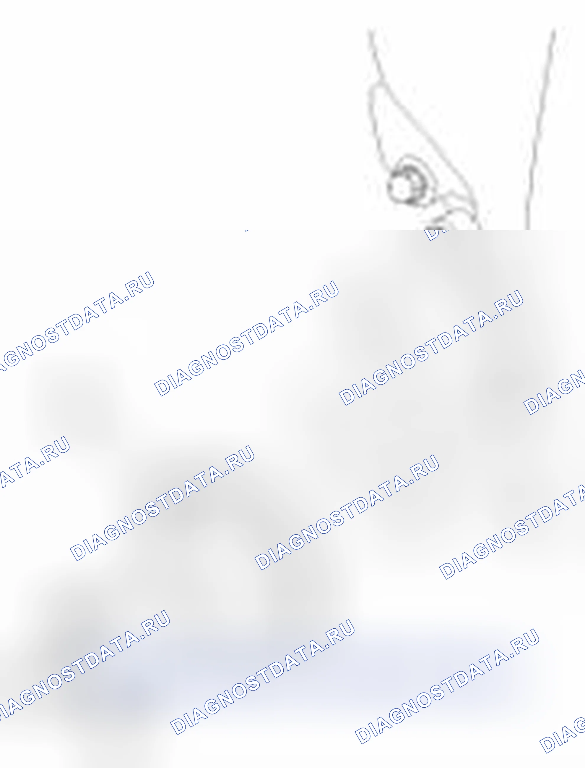 Рис. 24. Haval Beast (Shenshou) I
