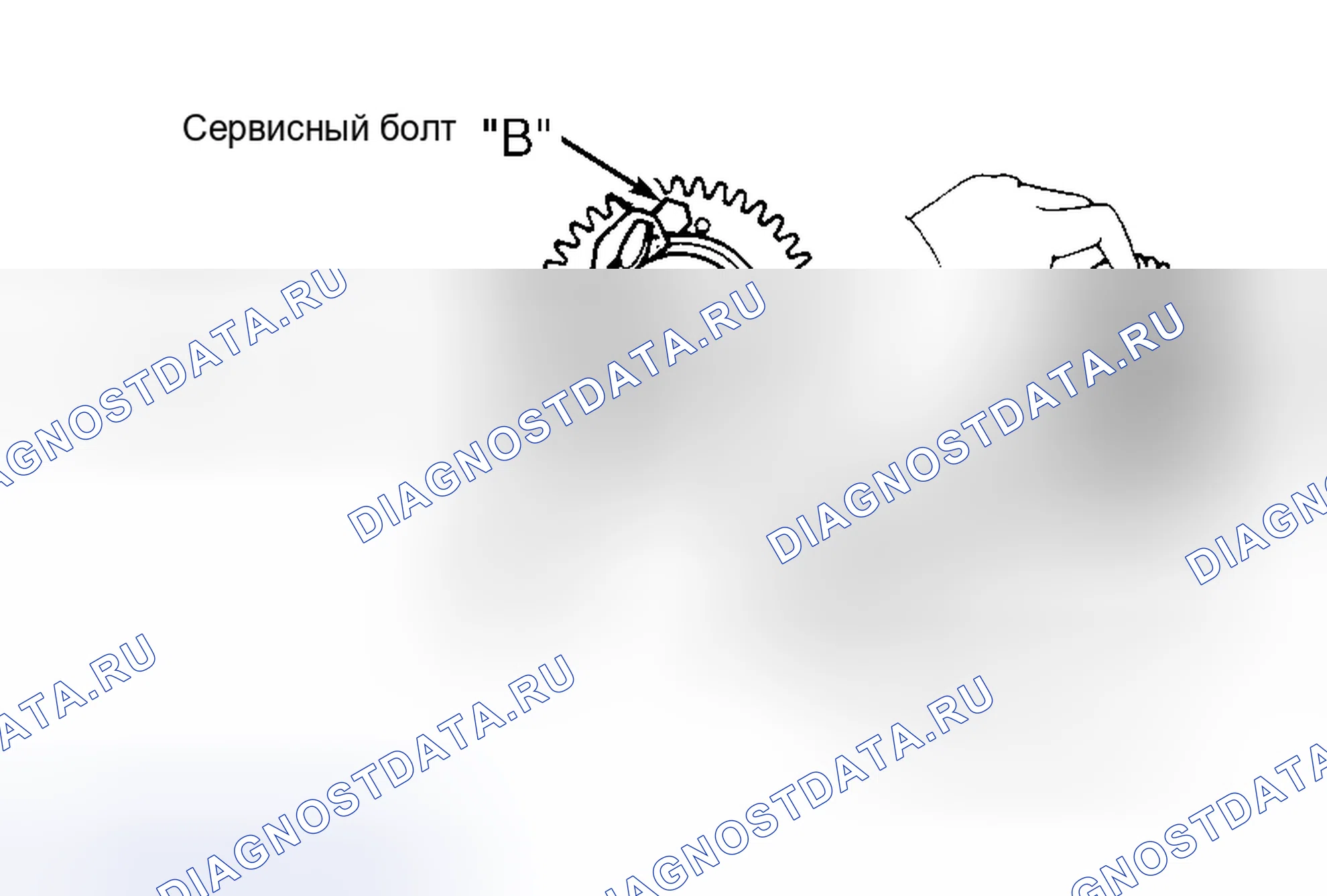 Рис. 25. Honda Accord X рестайлинг