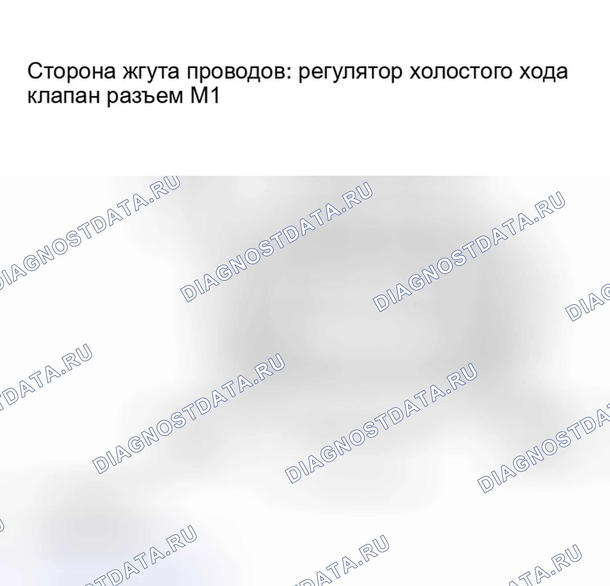 Рис. 243. Scion xB I