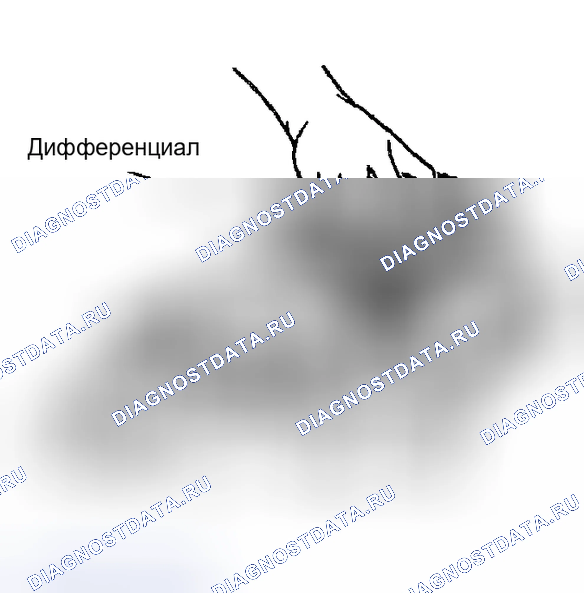Рис. 38. Geely Preface I