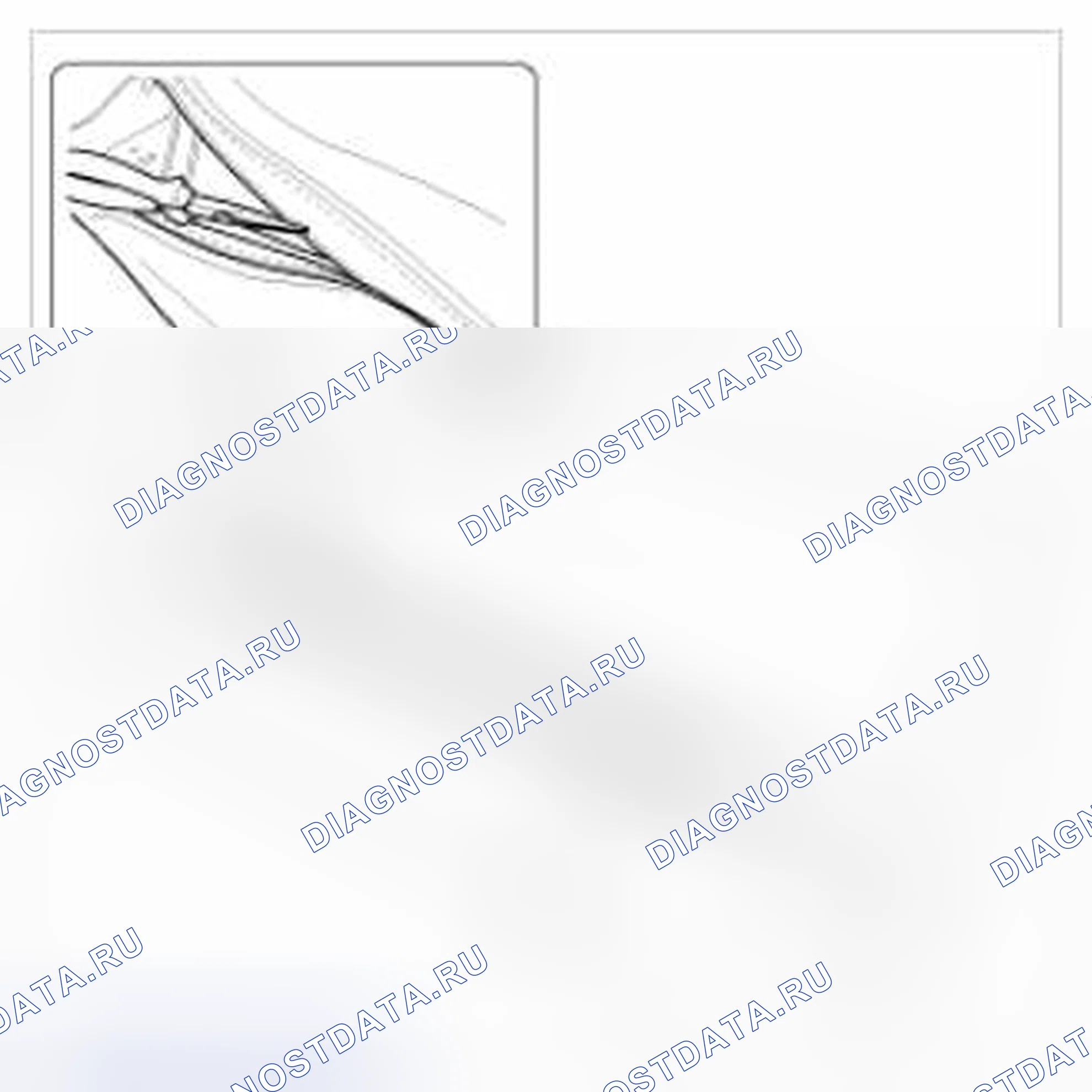 Рис. 51. BMW 6 серия F06/F13/F12