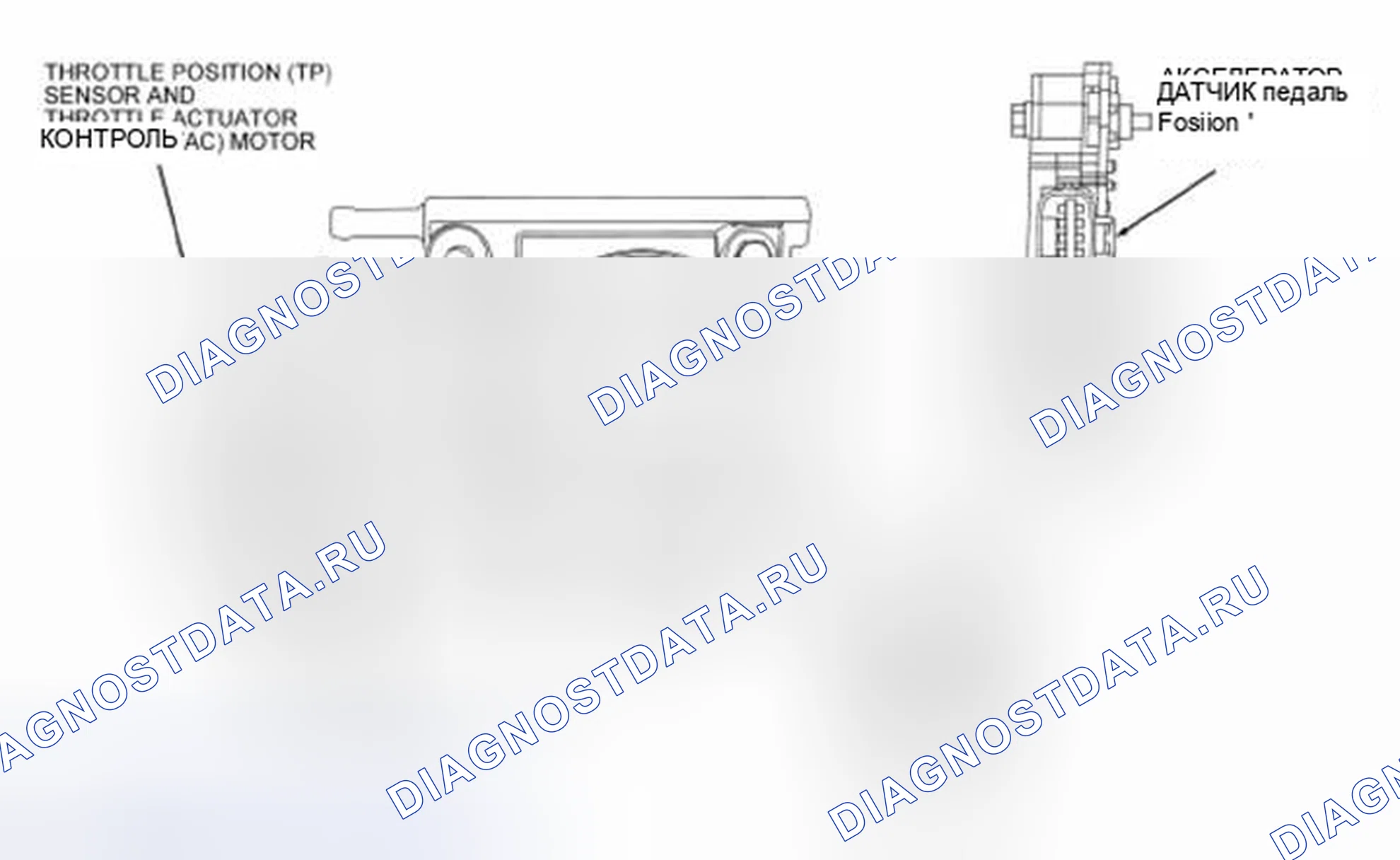 Рис. 187: Датчики положения педали акселератора (APP). Hyundai Matrix I рестайлинг