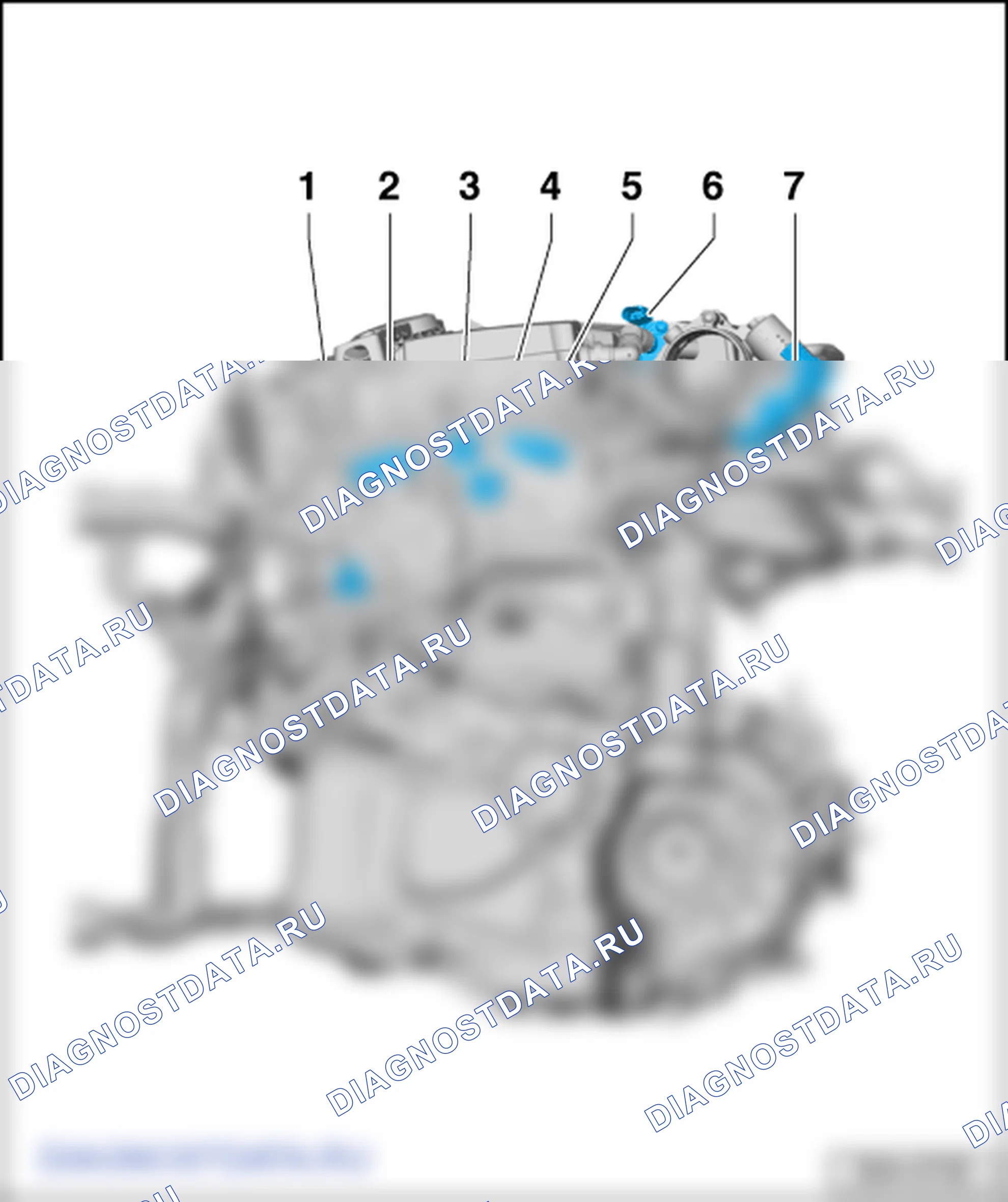 Расположение системы впрыскивания топлива (3,6/191 кВт FSI). Skoda Superb Ii