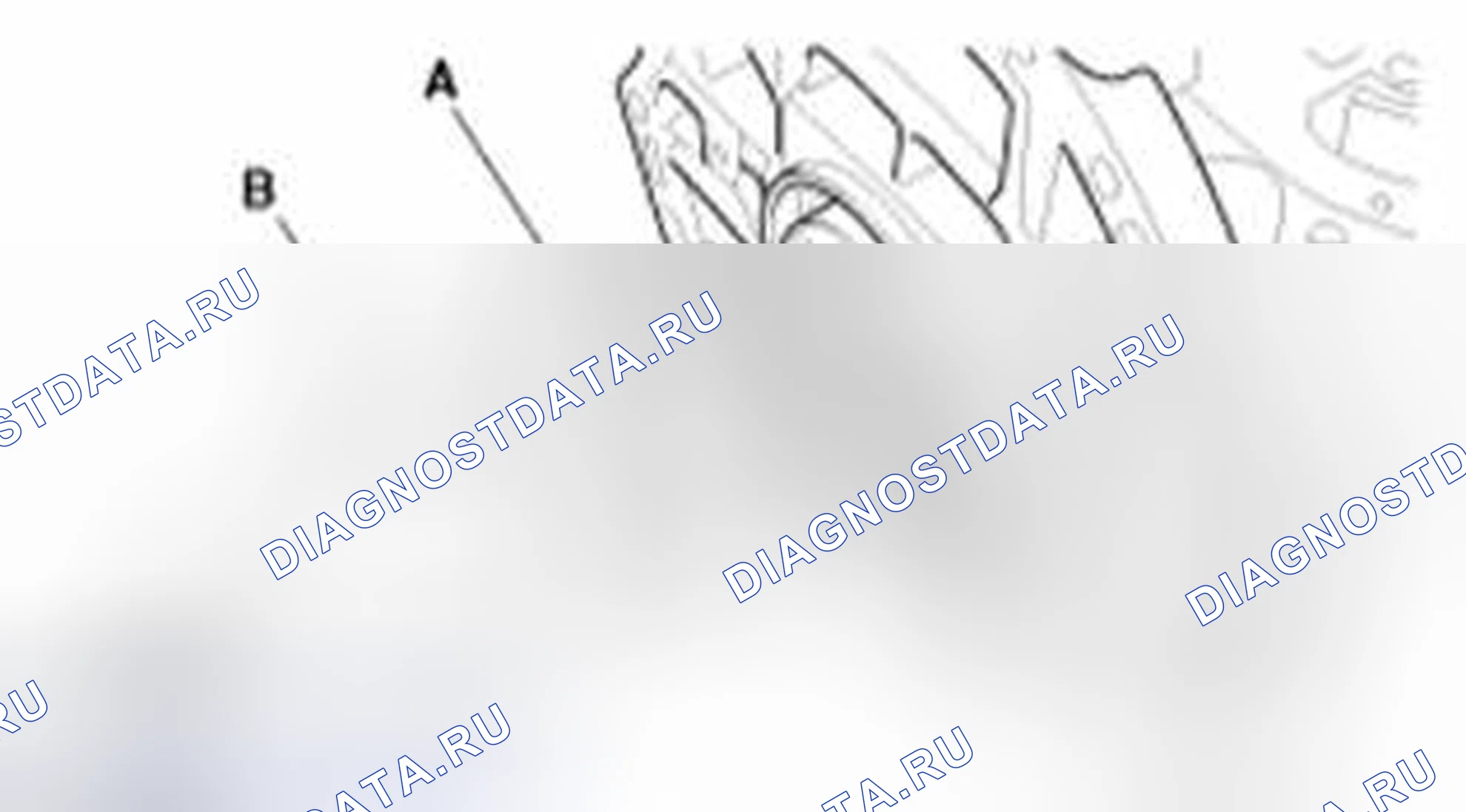Рис. 574. Haval Beast (Shenshou) I