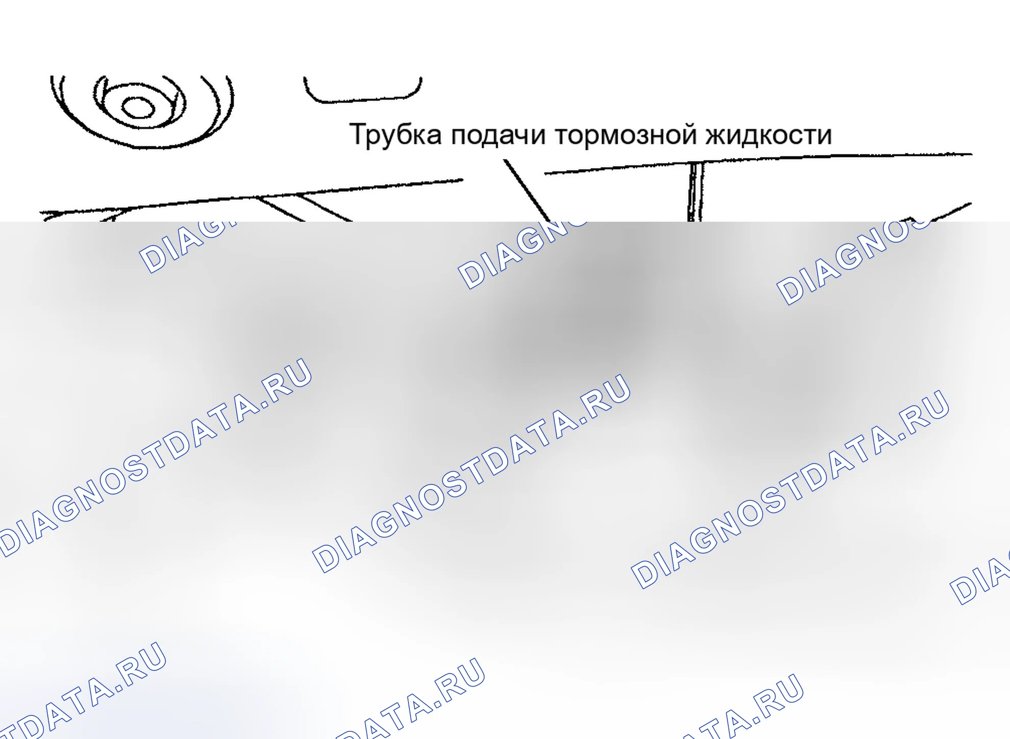 Рис. 48. Ford Focus I рестайлинг
