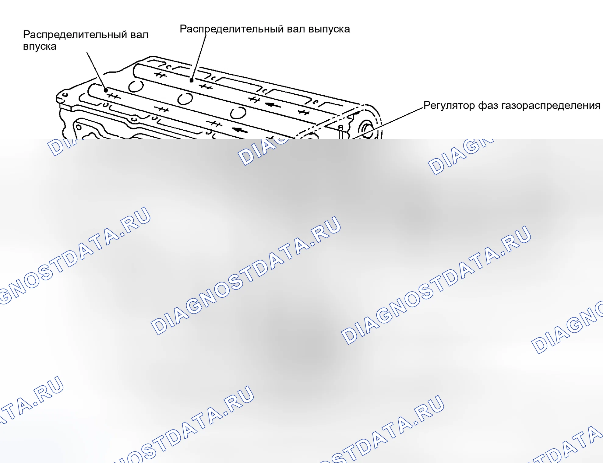 Рис. 36: Схема смазки. Honda That S I