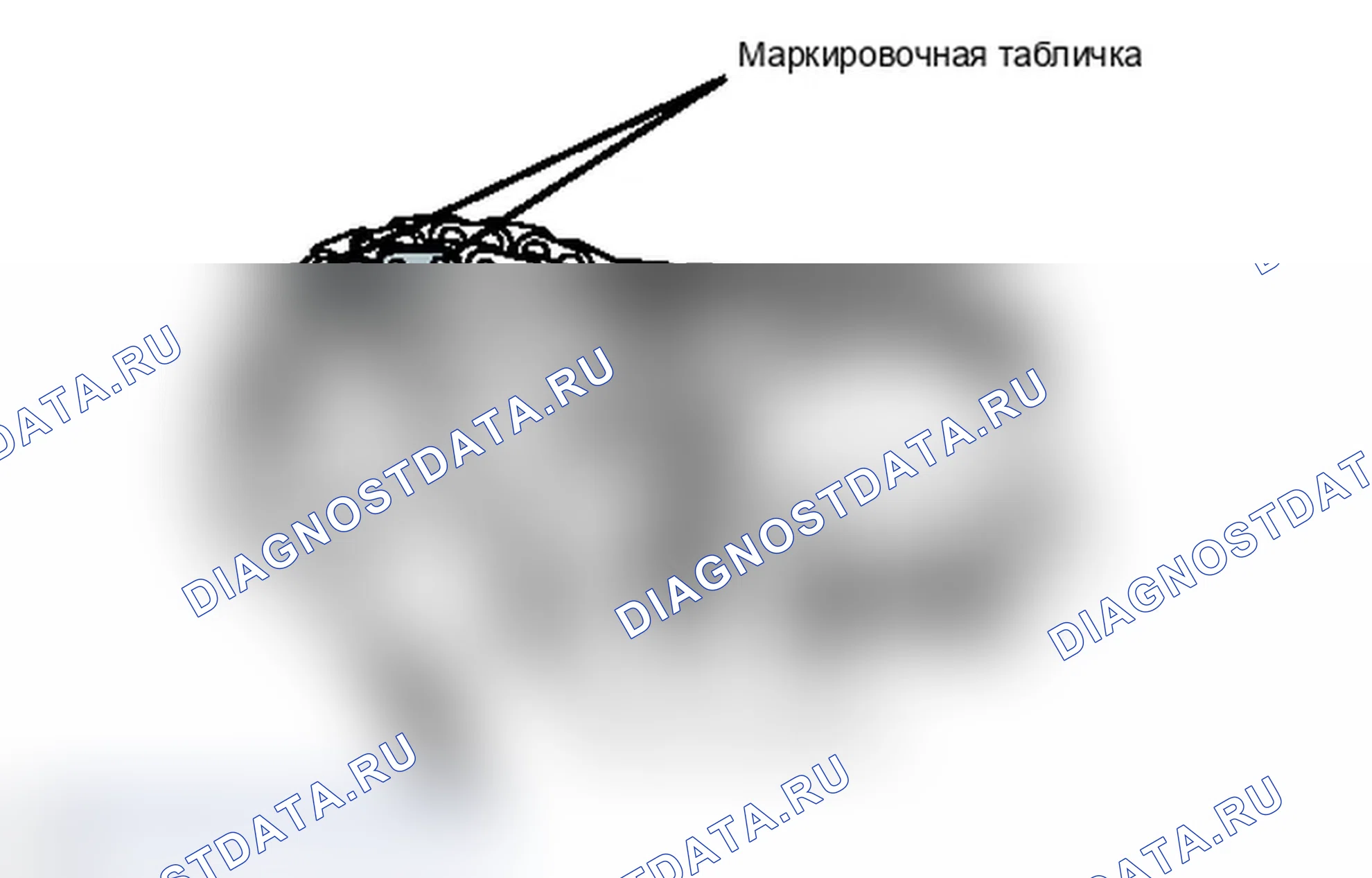 Рис. 306. Lexus IS F I