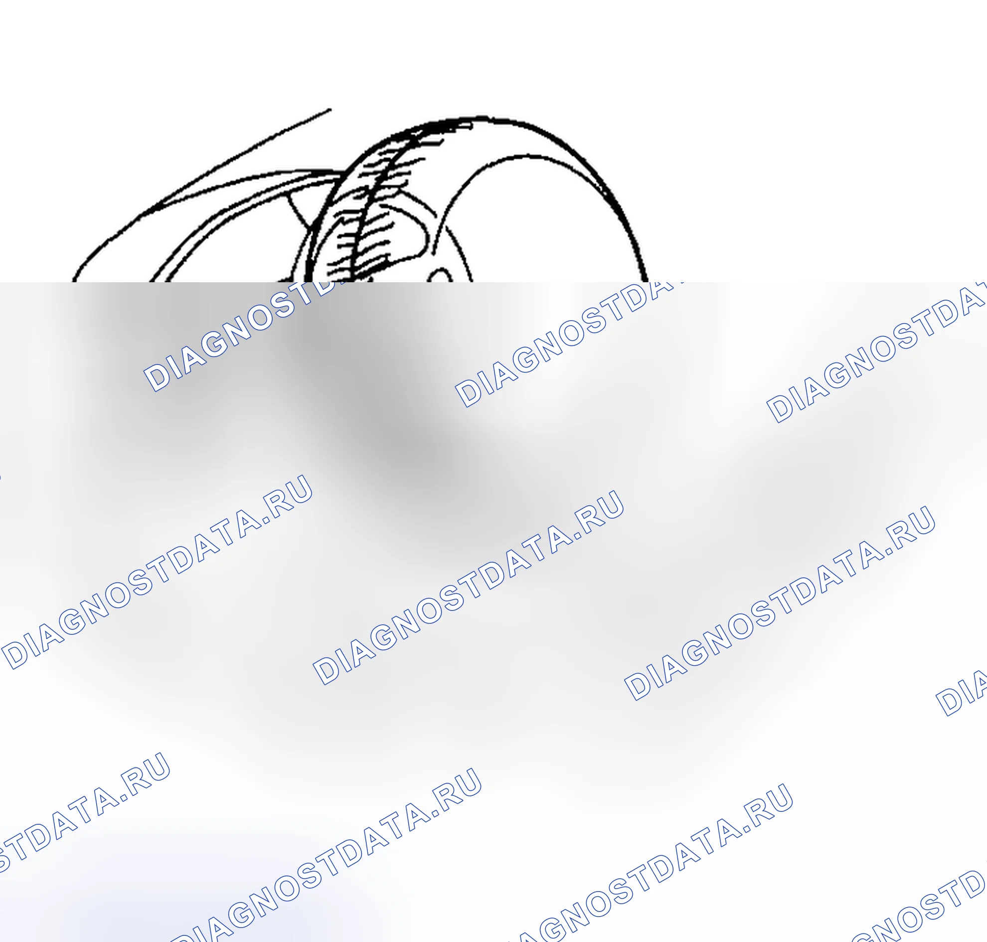 Рис. 389. Toyota Matrix E130