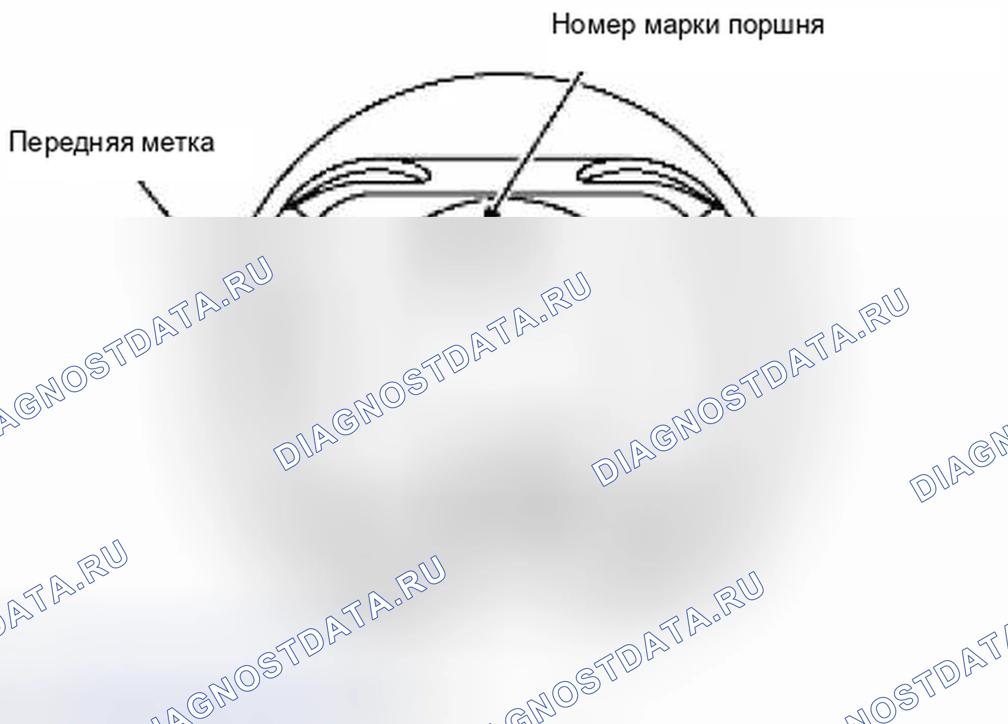 Рис. 411. Suzuki Equator I