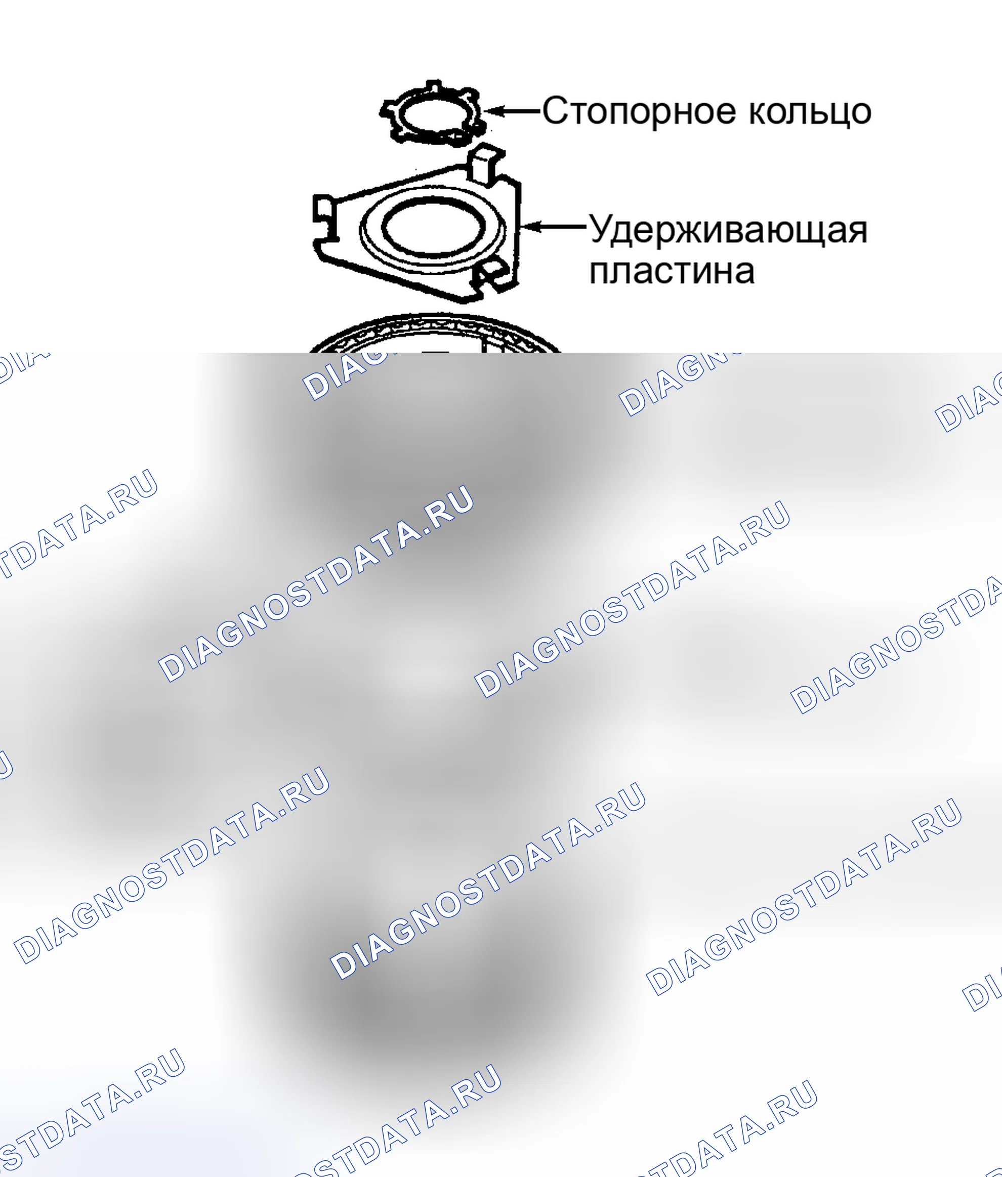 Рис. 42. Ford Focus I рестайлинг