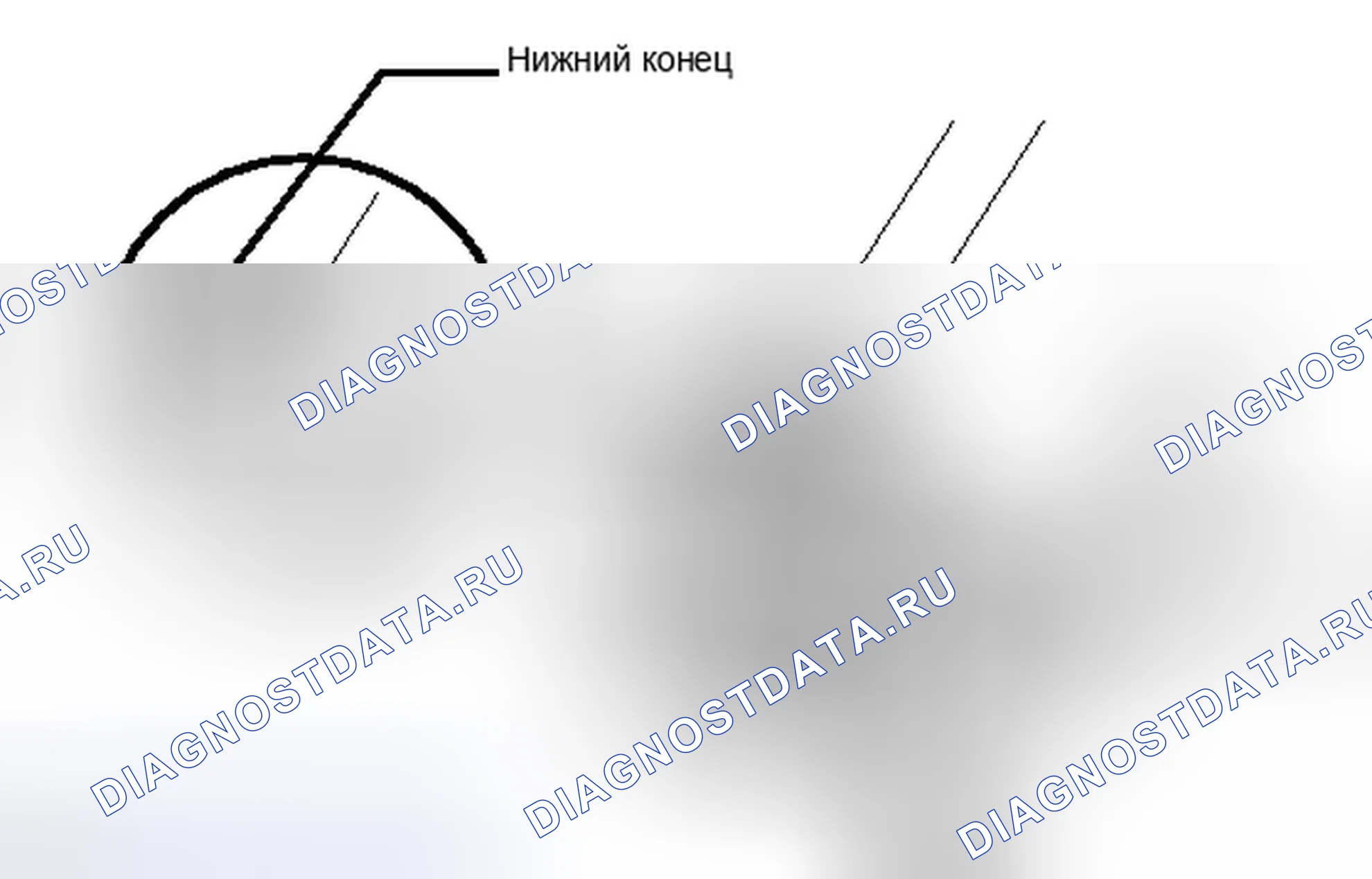 Рис. 223. Honda Accord IV
