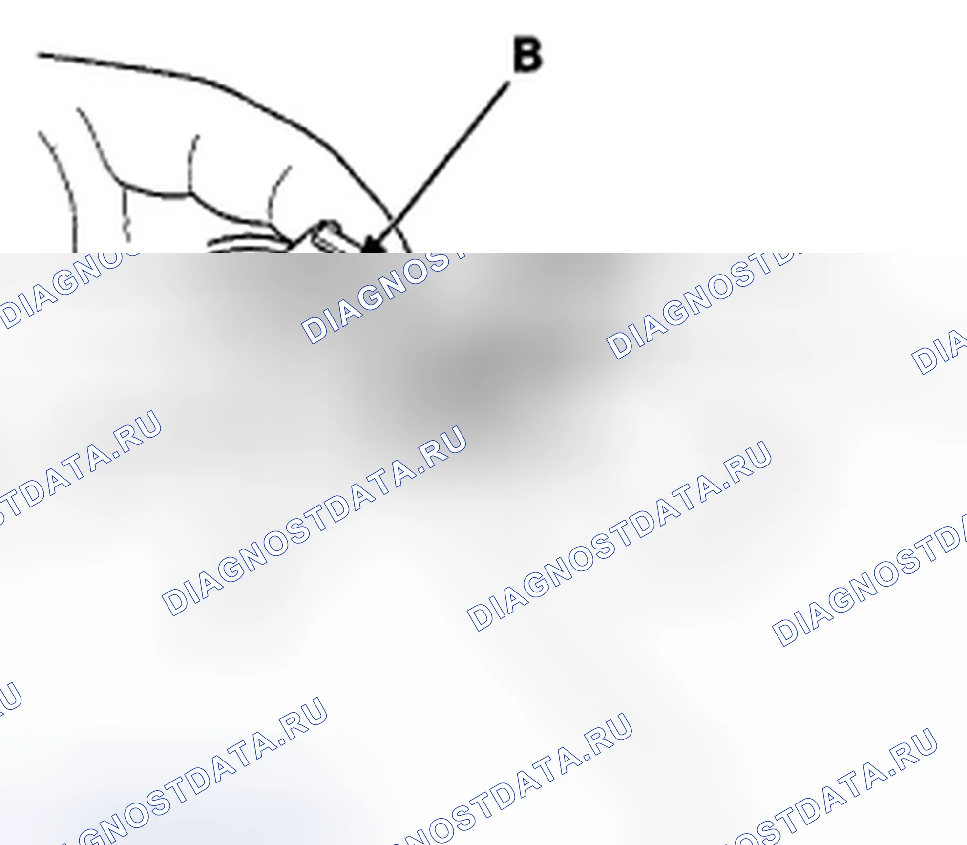 Рис. 574: Подключение. Honda Civic VIII