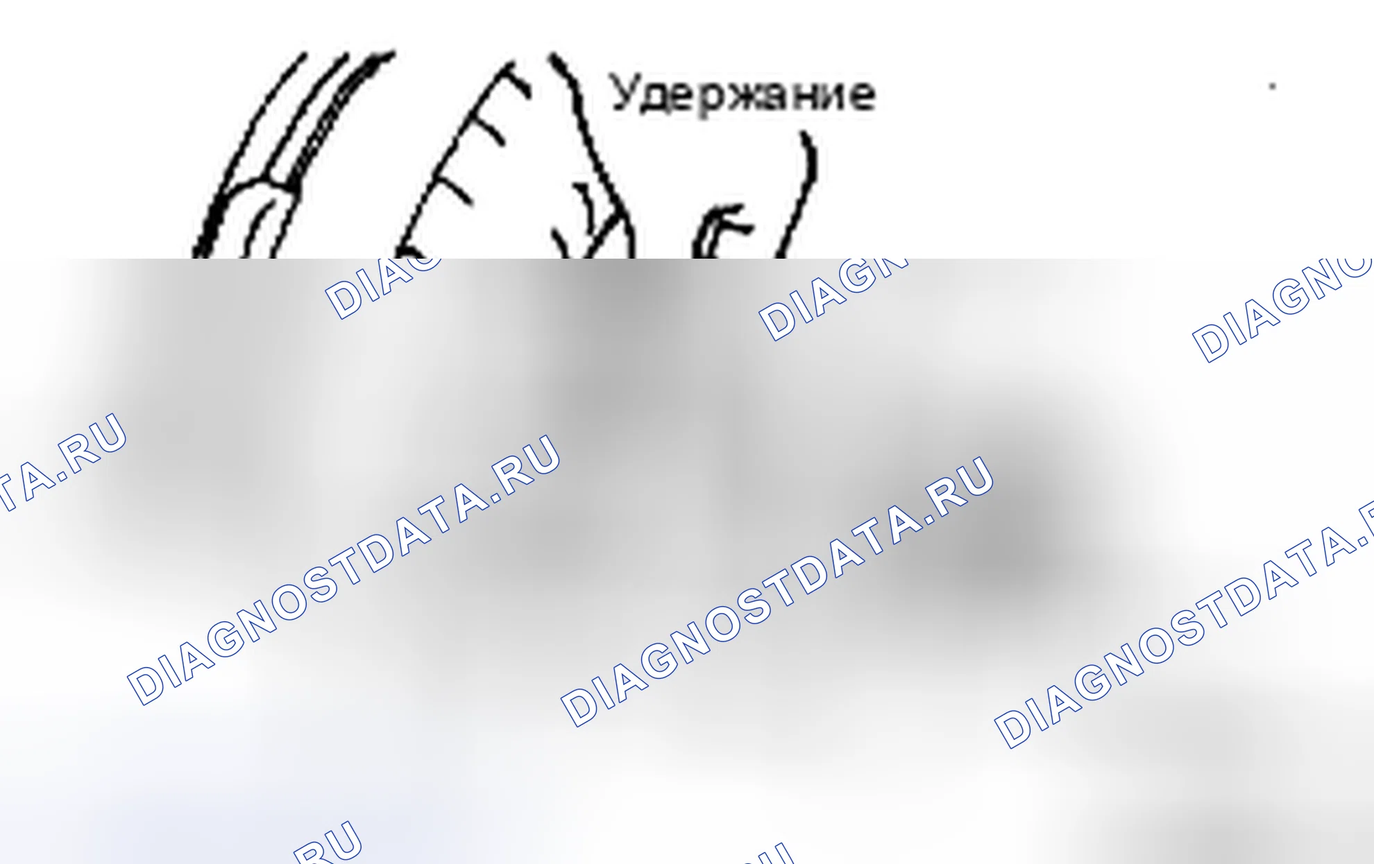 Рис. 235. Toyota Tacoma II