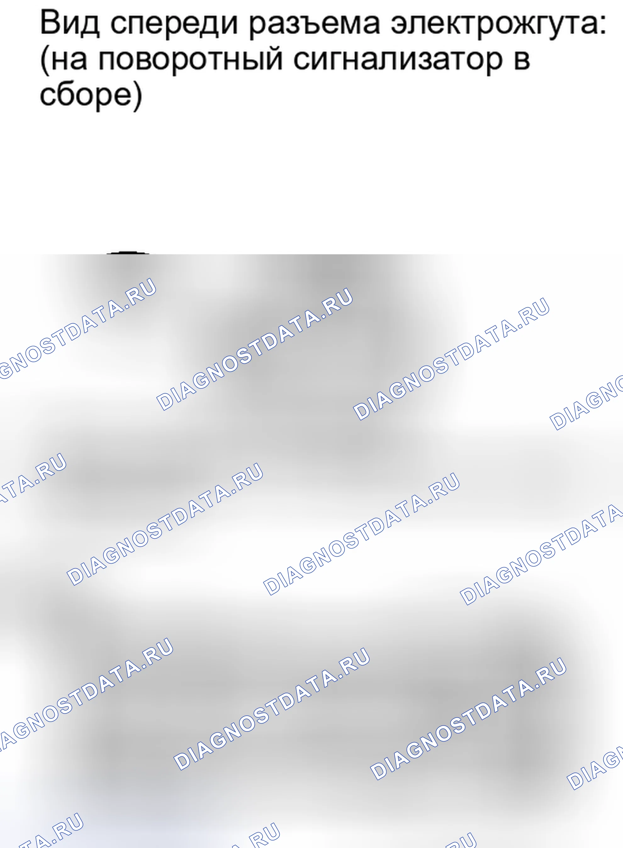 Рис. 218. Lexus IS F I