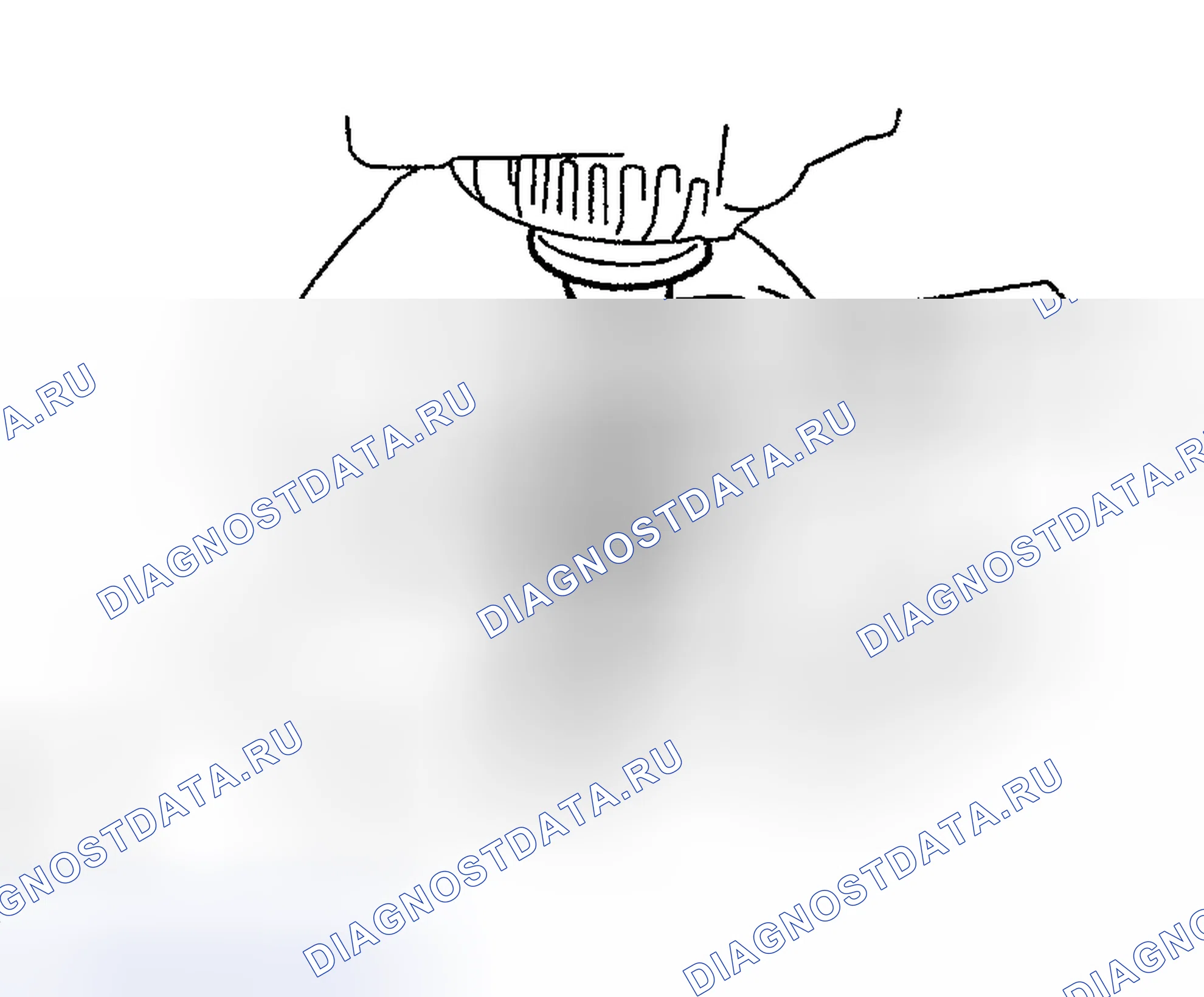 Рис. 28. Toyota Highlander I