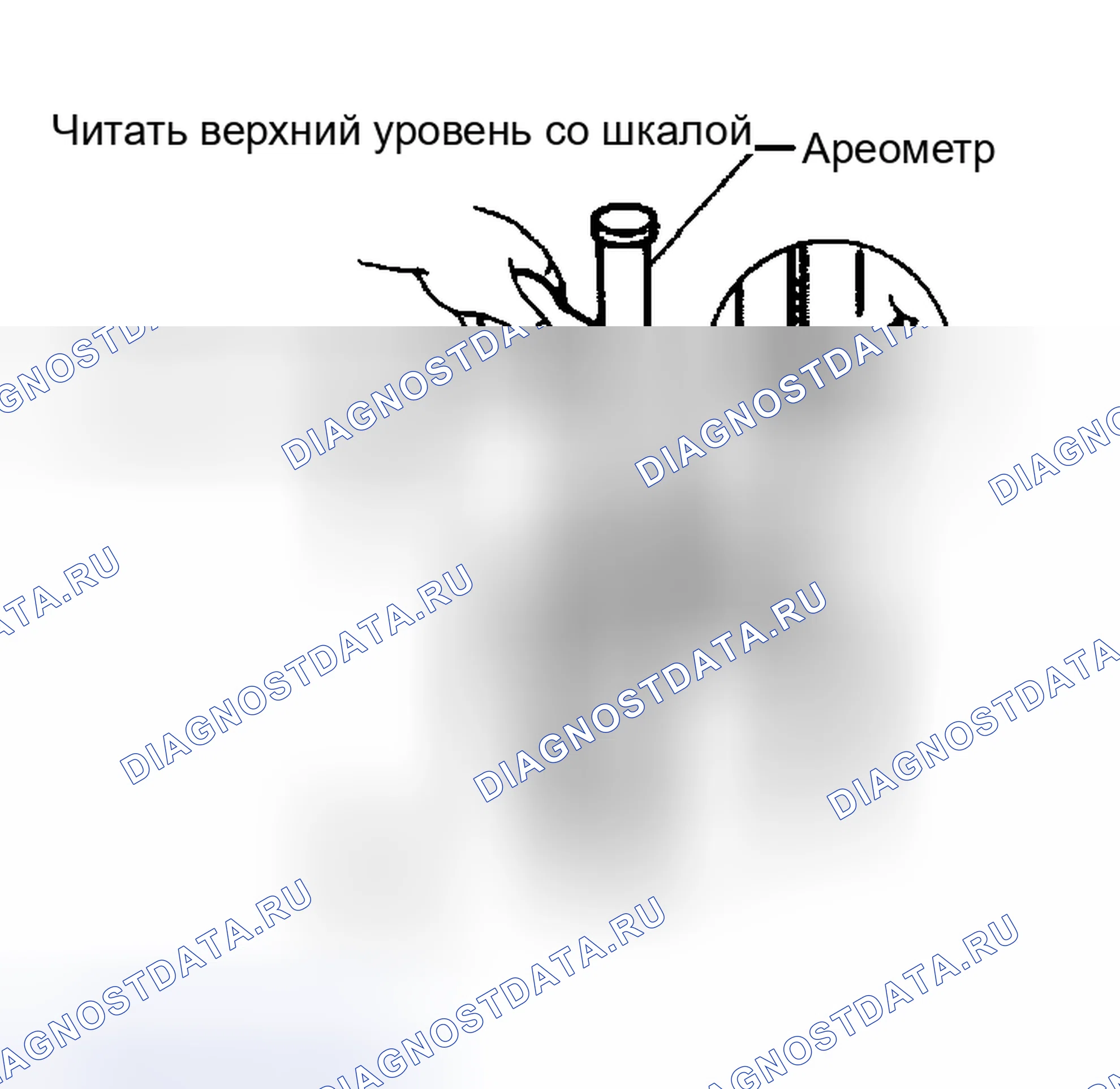 Рис. 40: ПРОВЕРКА УДЕЛЬНОГО ВЕСА. Nissan Murano Z50