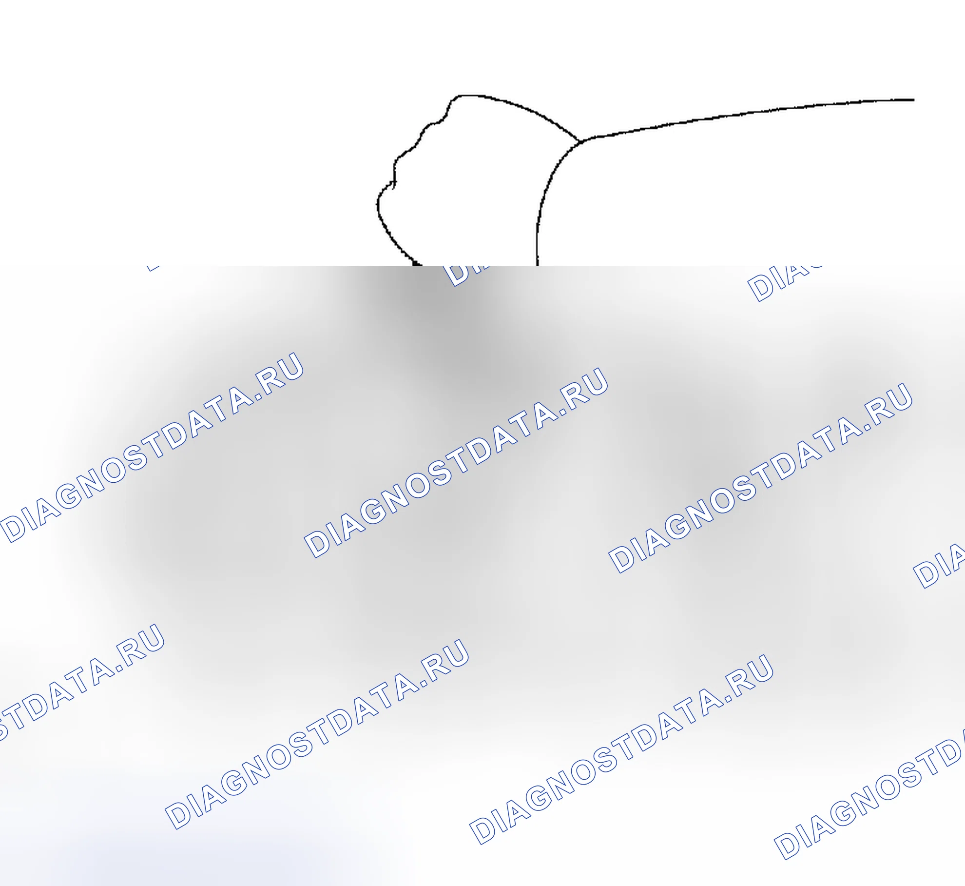 Рис. 228. Toyota RAV4 II рестайлинг