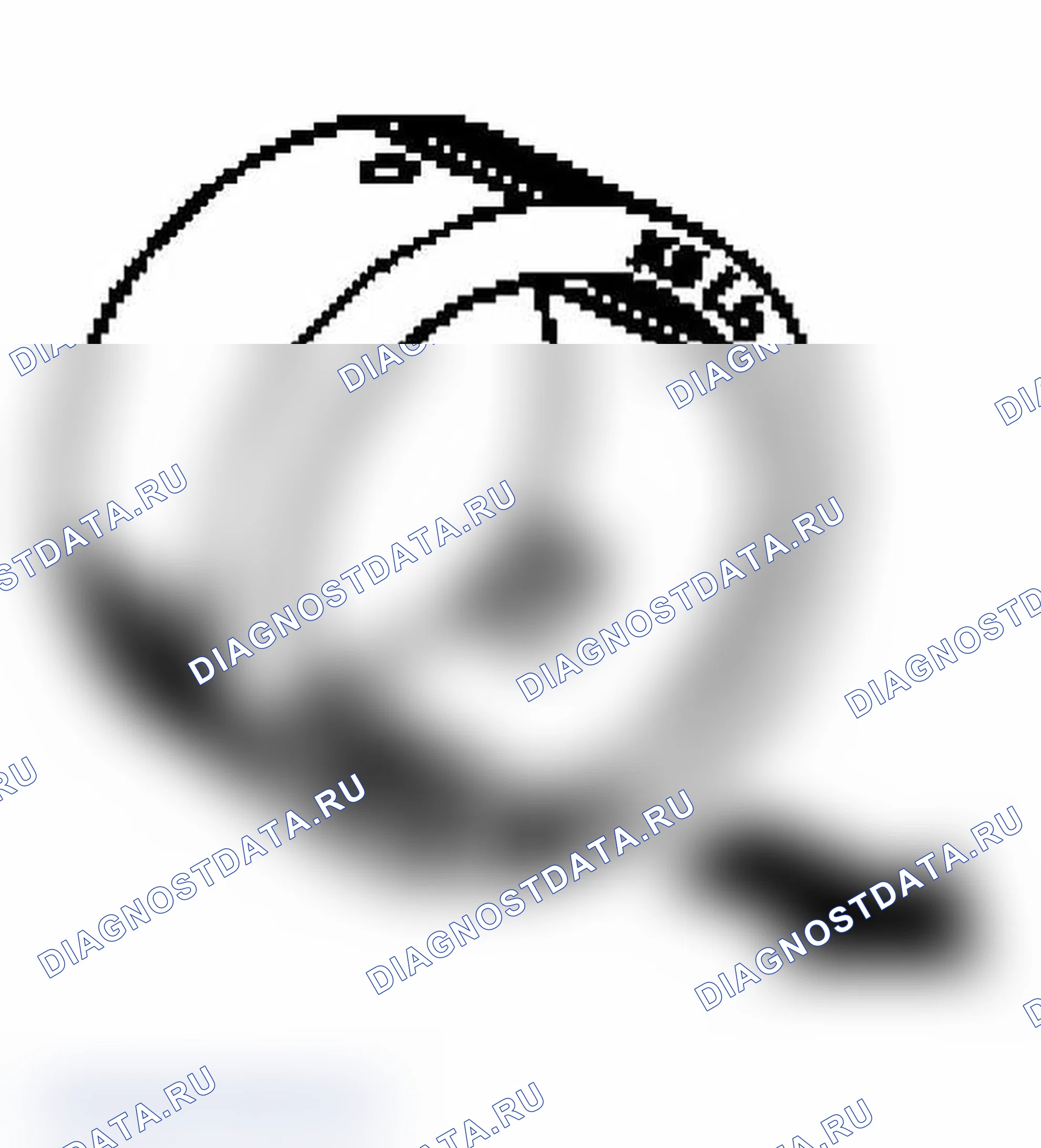 Рис. 259: СБОРКА РАСПРЕДЕЛИТЕЛЬНОГО ВАЛА НА ВХОДЕ. Porsche Boxster S 986
