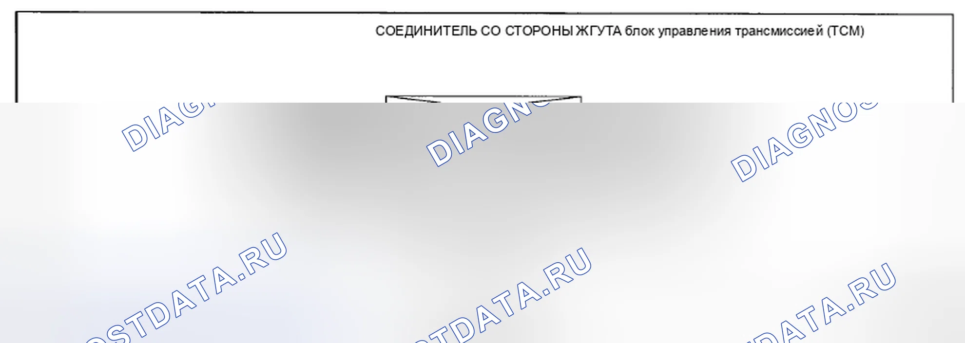 Рис. 370: Напряжение на клеммах блок управления трансмиссией (TCM) (блок управления трансмиссией) (справочное). Honda CR-V IV рестайлинг