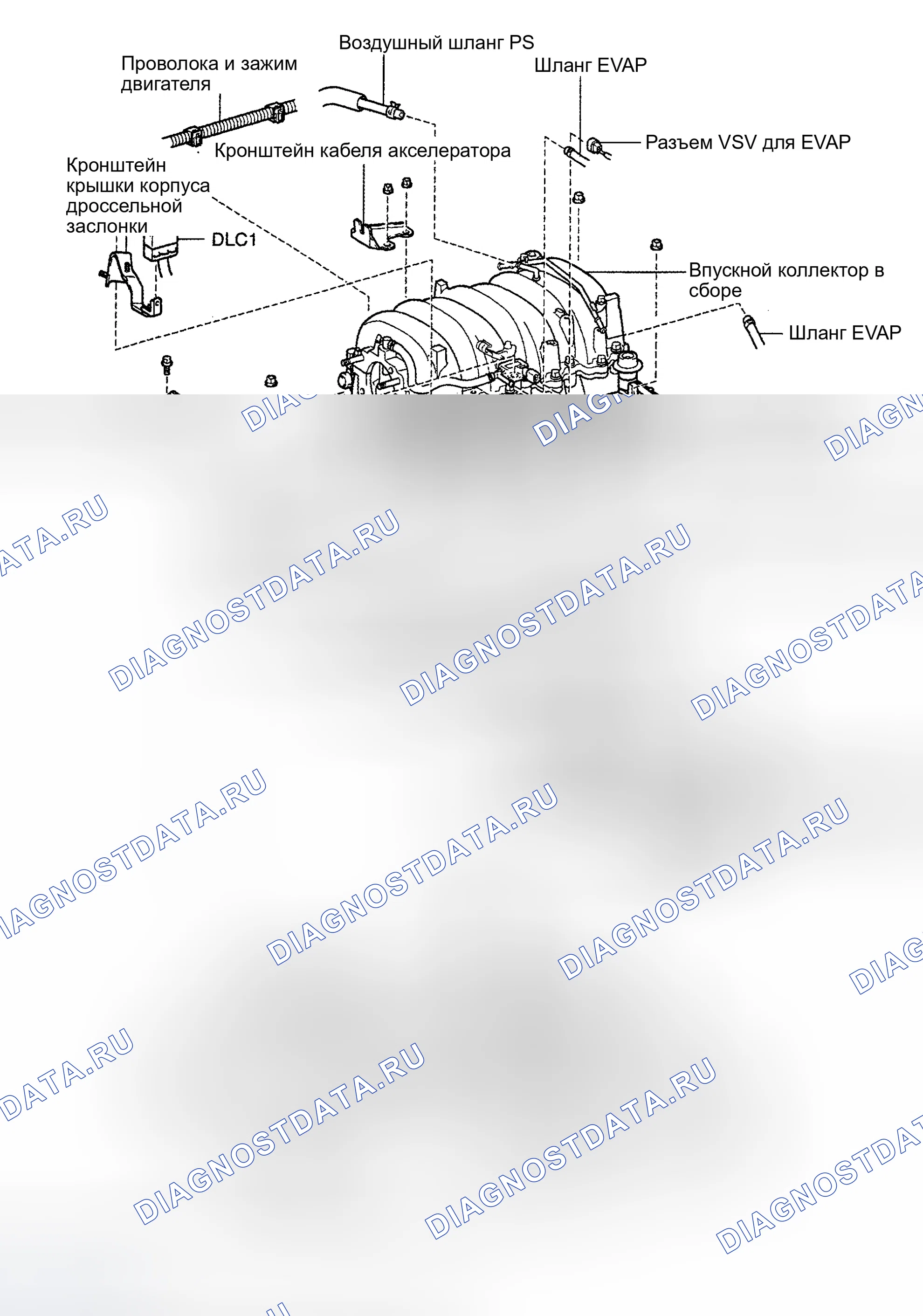 Рис. 3. Honda Accord XI