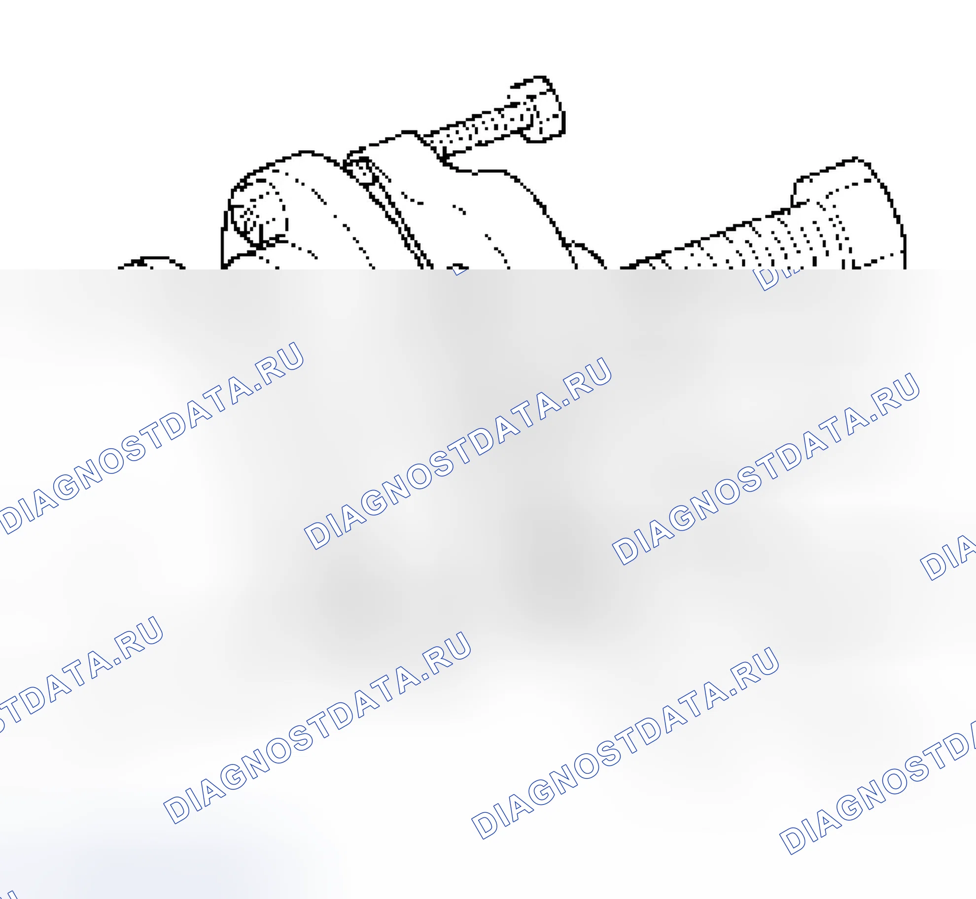 Рис. 75. Isuzu Axiom I